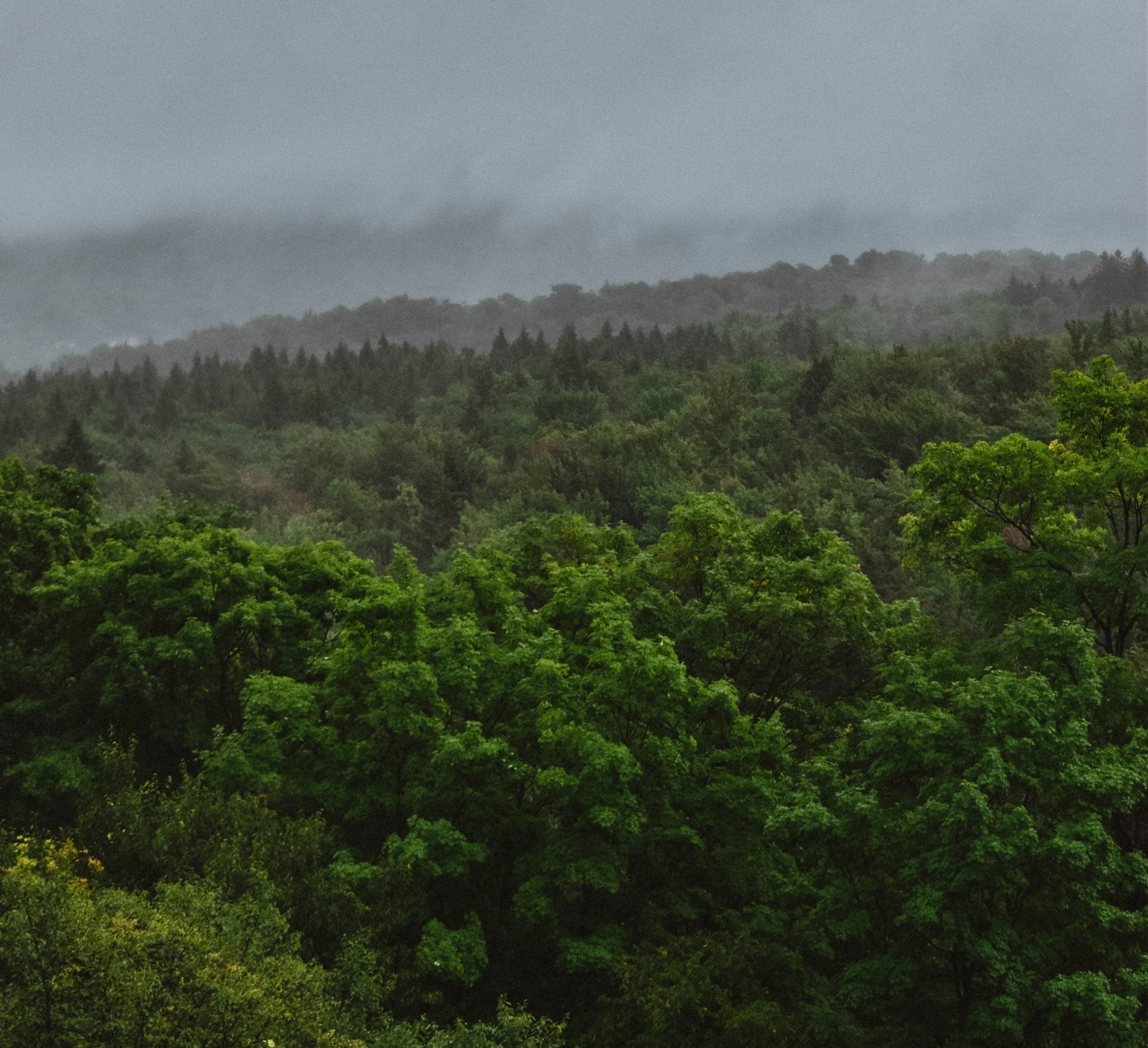 UPSTATE NY JULY (5 of 1)-42.jpg