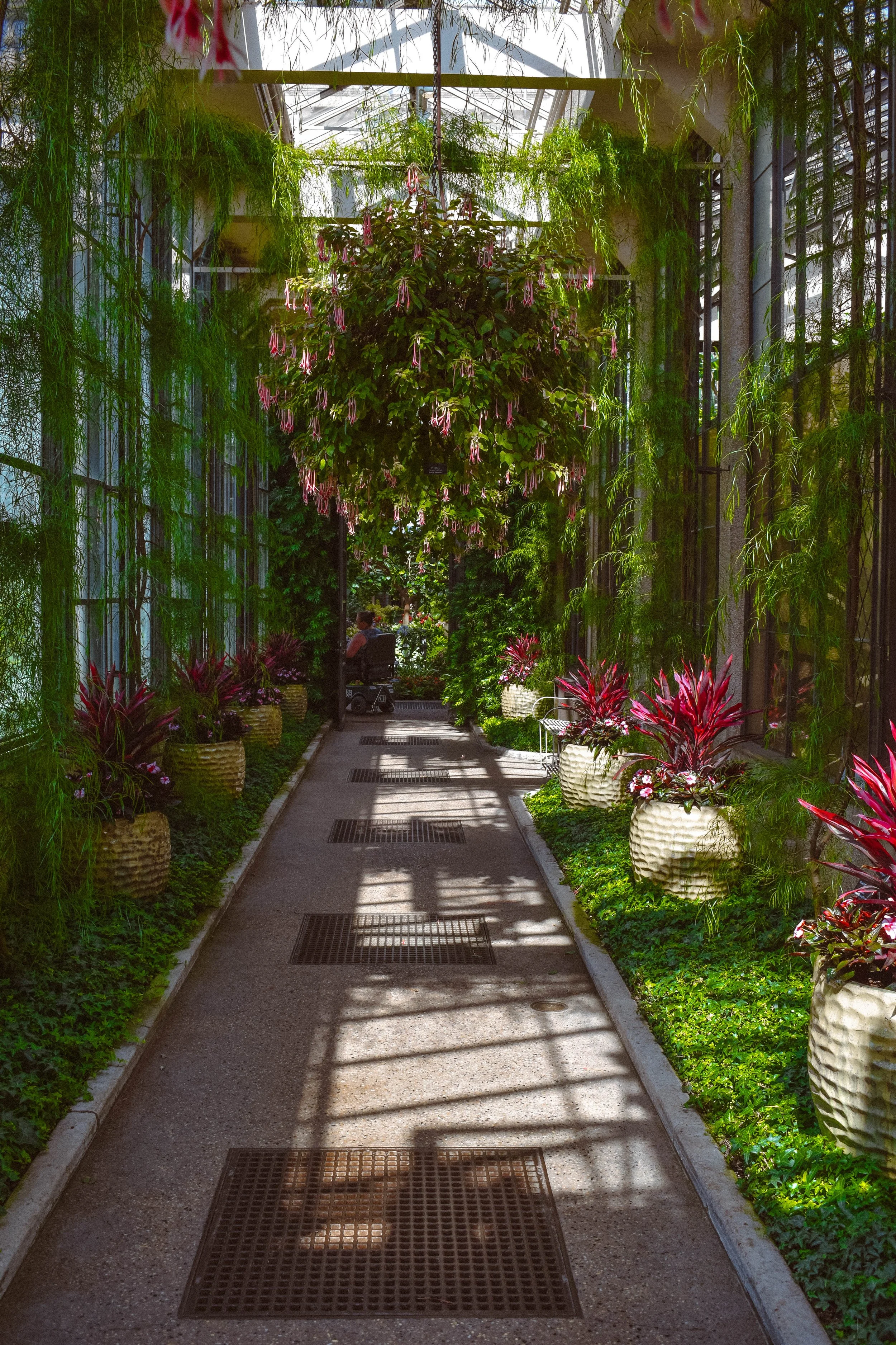 Longwood (5 of 1)-36.jpg
