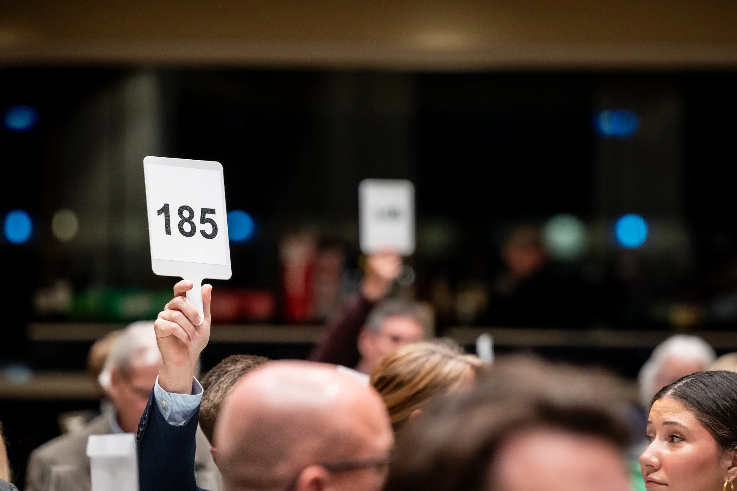 Boundless Gala - Highlights-119.jpg