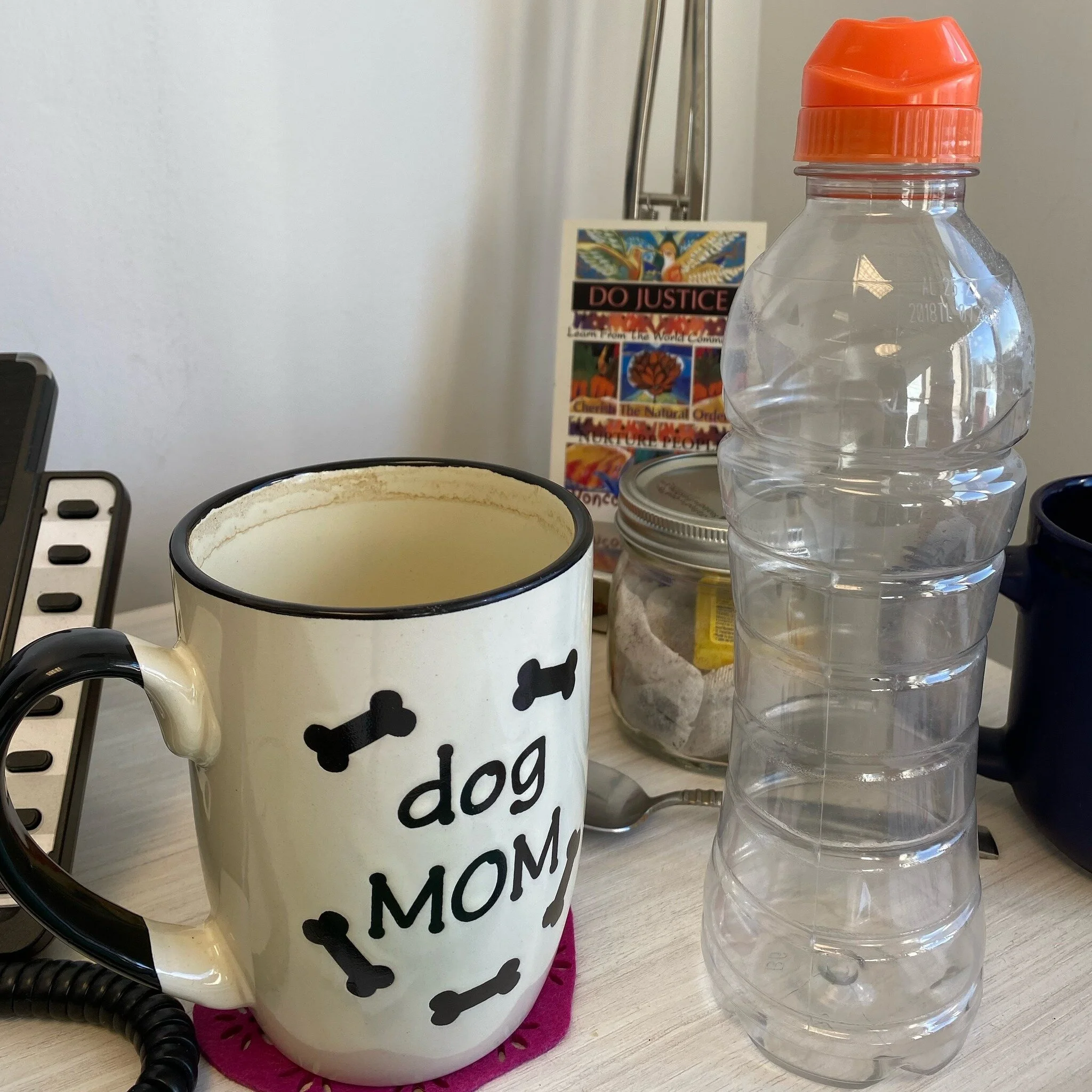 70% water, 30% caffeine, 100% Dog Mom 

#workspace #mindset #deskessentials #dogmomlifestyle #worklifebalanced #wednesdayvibe