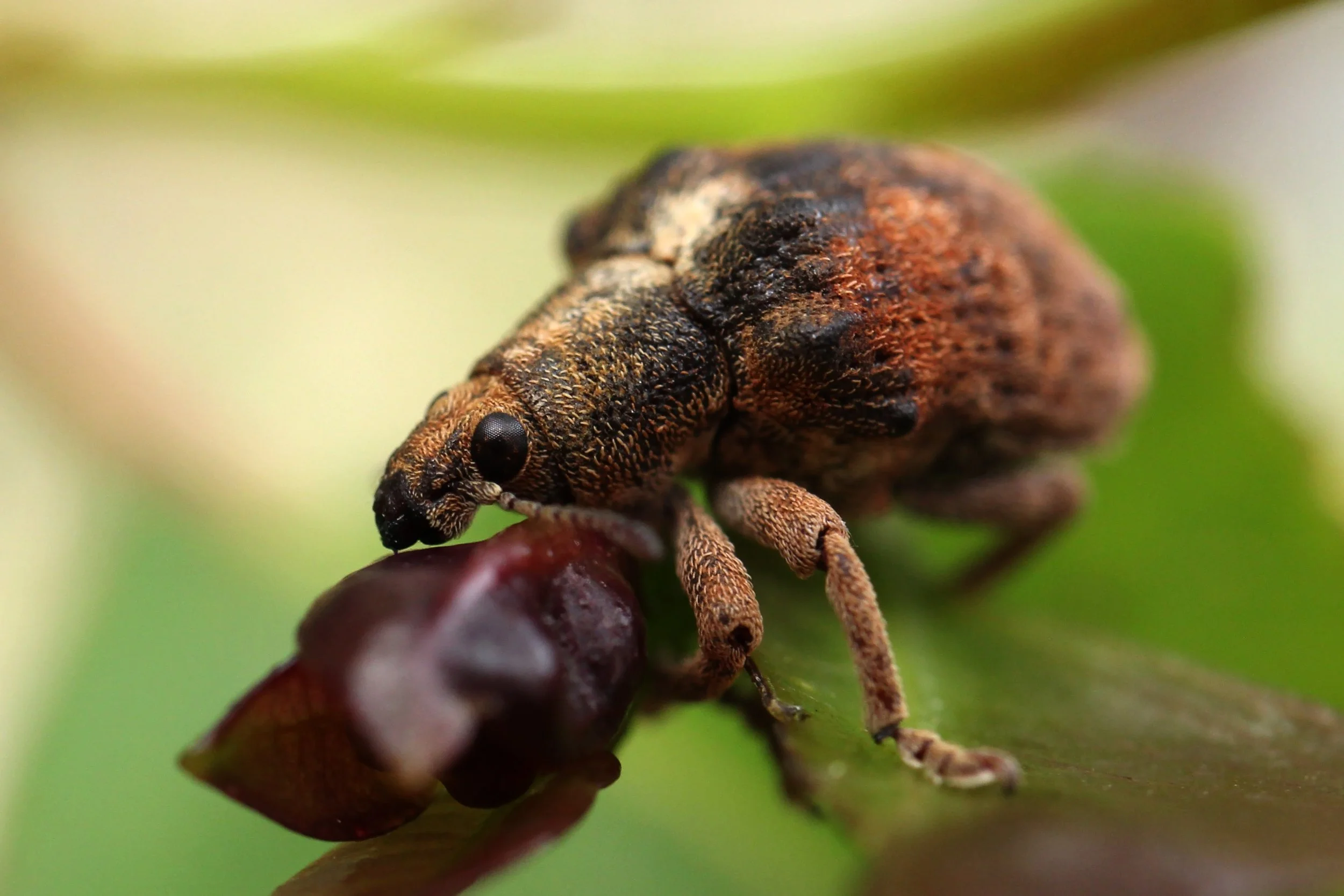 IMG_7181 process.jpg