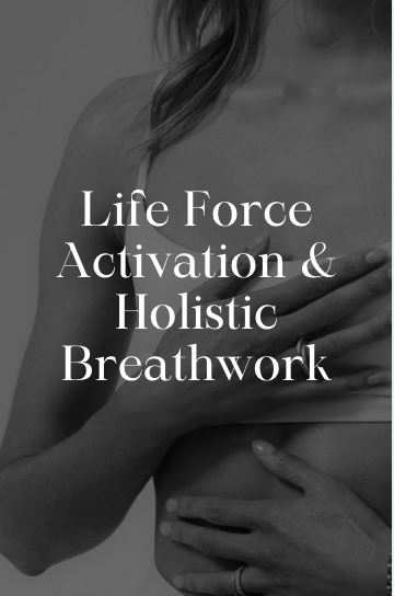 Capture d’écran 2026-02-24 à 10.44.14.png