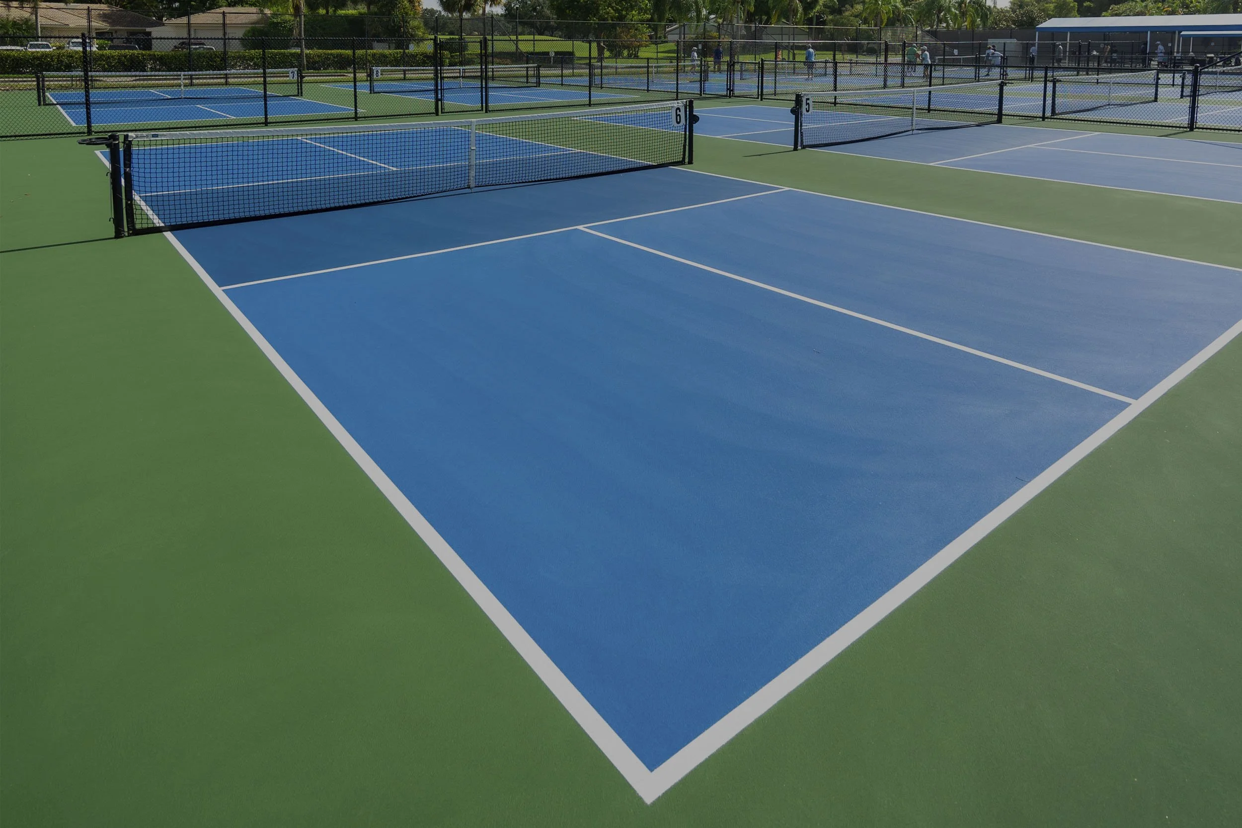 Laykold Pickleball APAC header.jpg