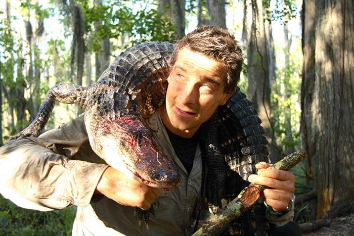 ALL ANIMALS: Bear Grylls regrets killing for TV, 61% prefer plant protein,  Ed Winters nominated for award and other news — Surge | Creative Non-Profit  for Animal Rights