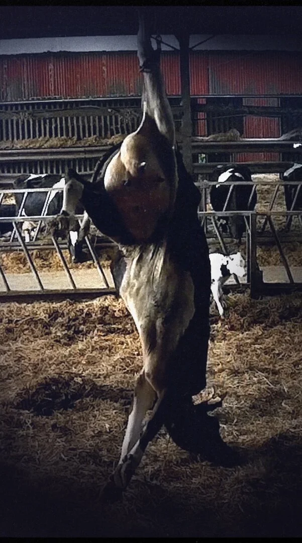 Dismantle Dairy Campaign Goes Live