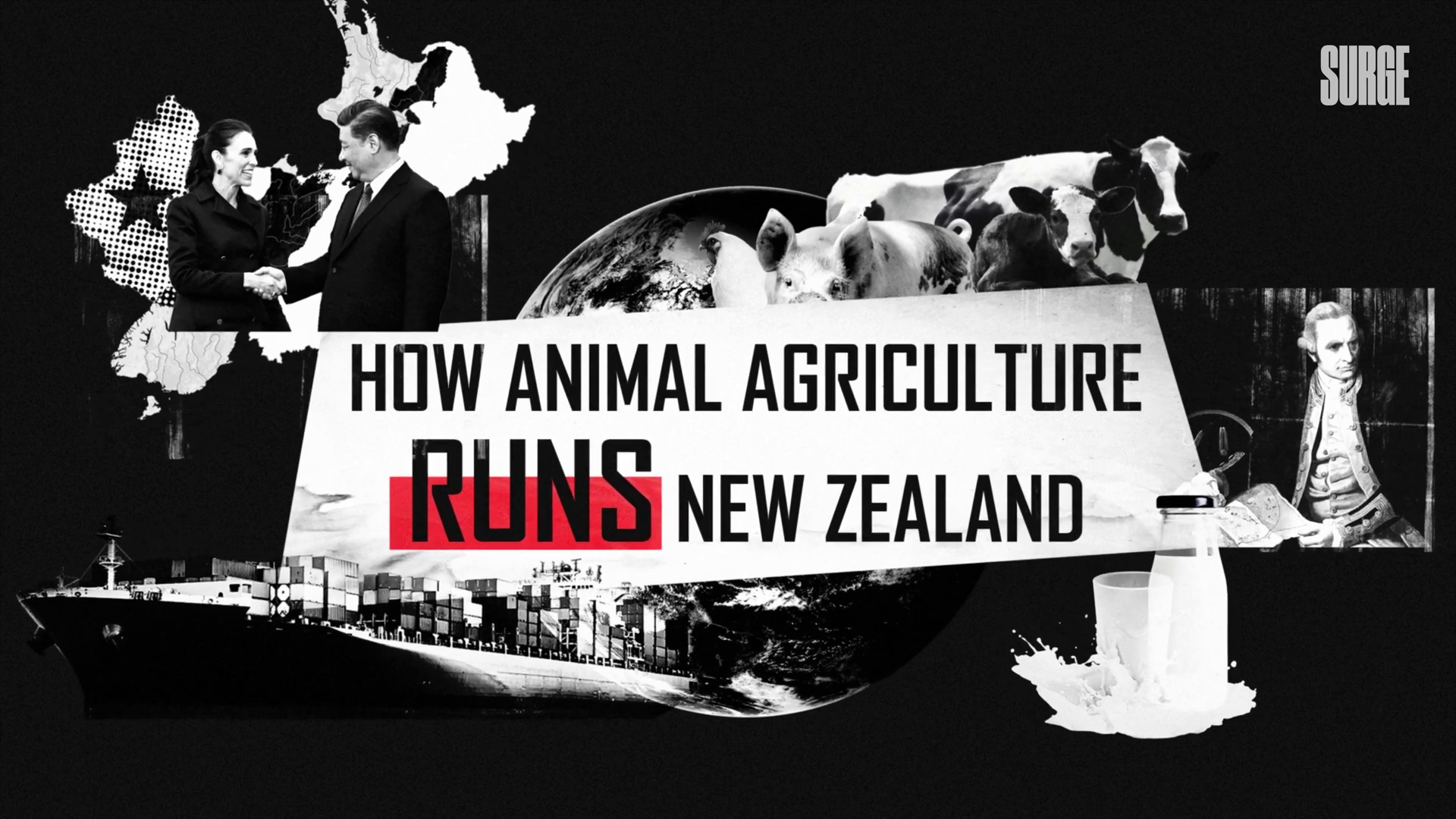 How animal agriculture runs New Zealand
