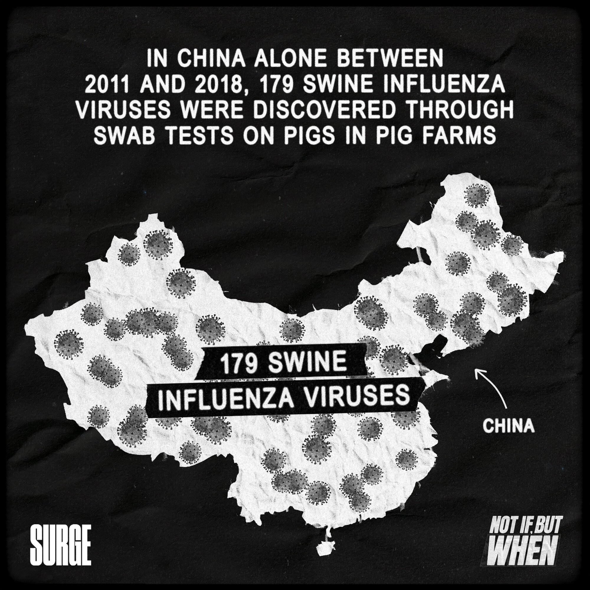Swine Flu - Graphics 1.jpg