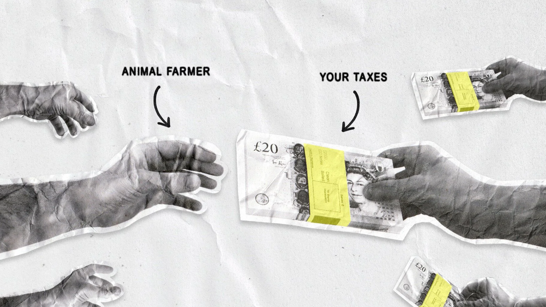 What are agricultural subsidies? 