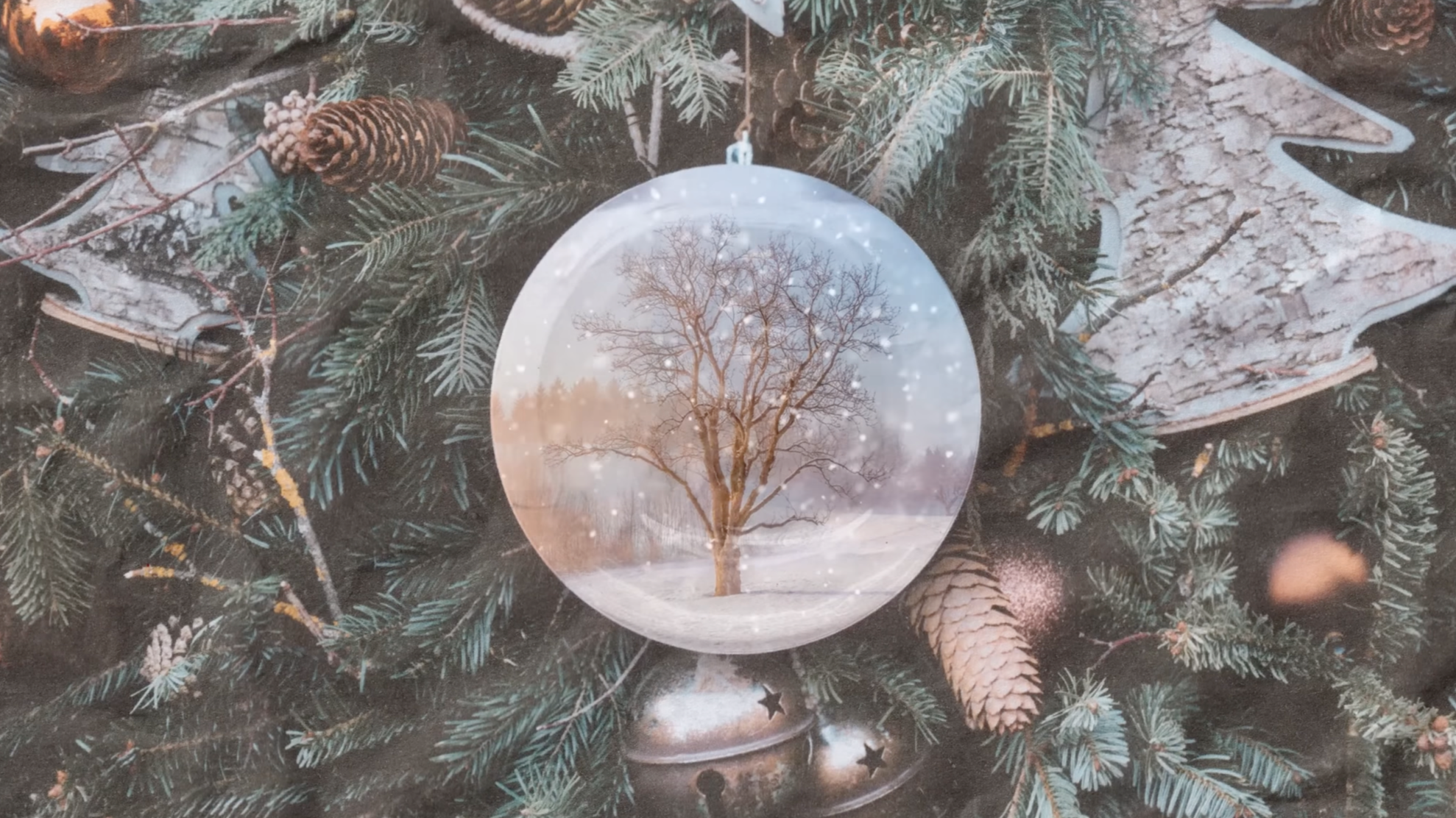 The Vegan Who Stole Christmas: A Short Film