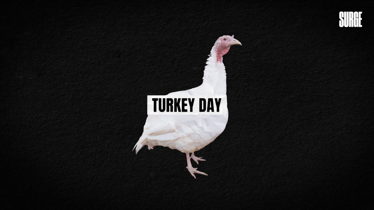 The Story of the Thanksgiving Turkey