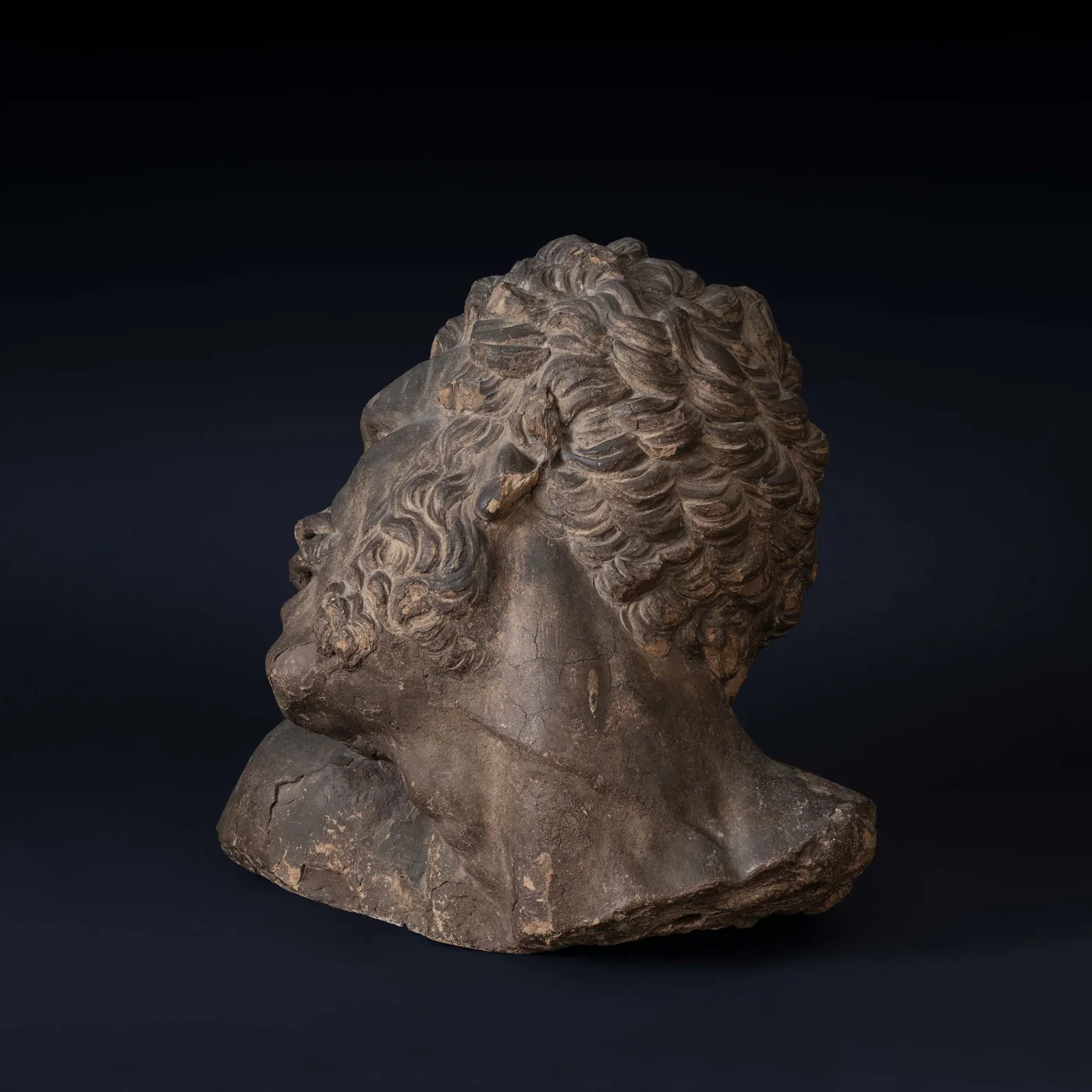 After Pierre Puget (1620-1694), Bust of Milo of Croton 6.webp