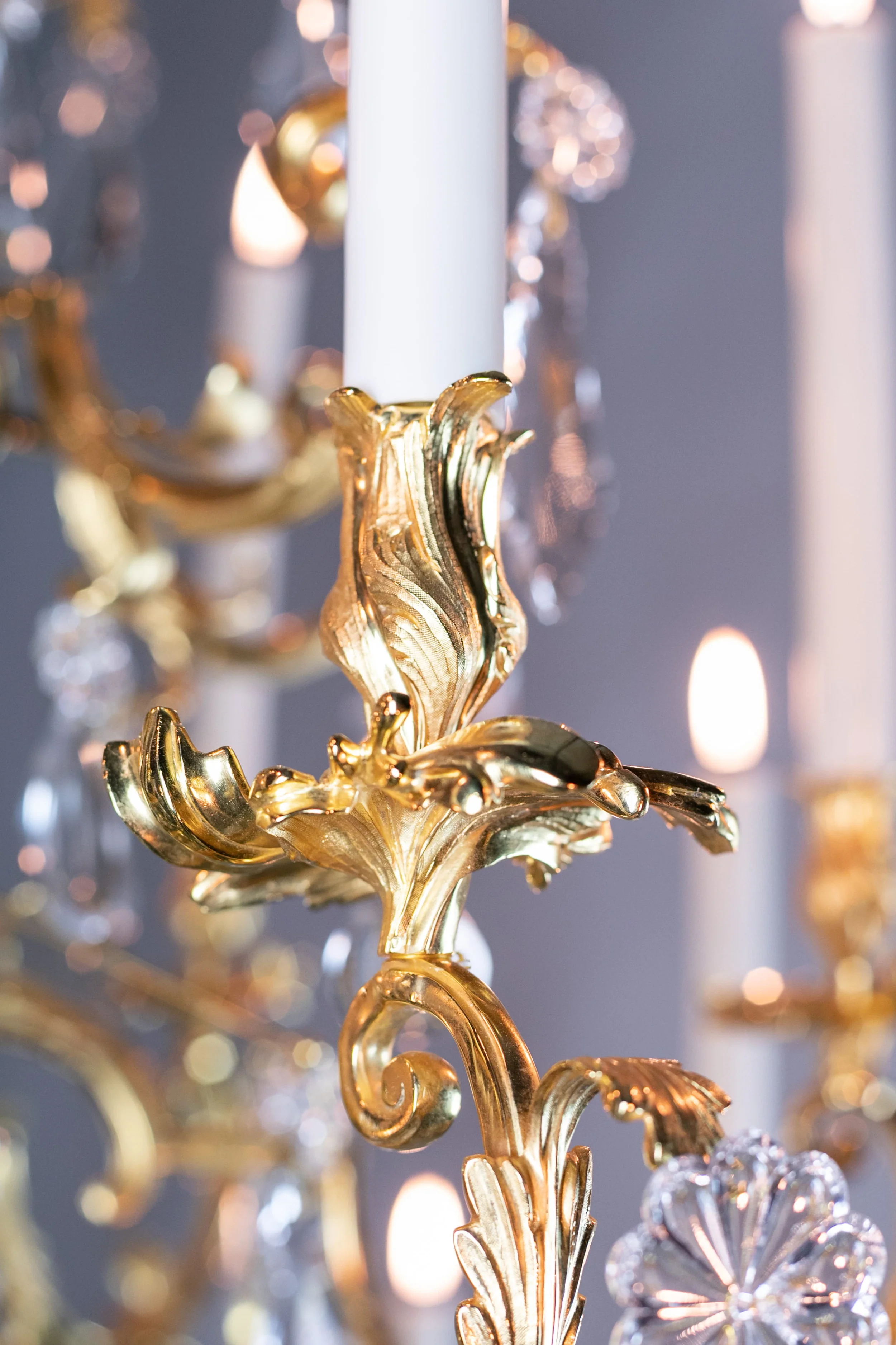 Louis XIV Chandelier with 12 lights _ Short 7.webp