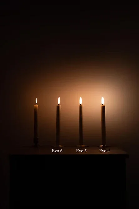 Evo bulb comparison.webp (Copy) (Copy) (Copy) (Copy)