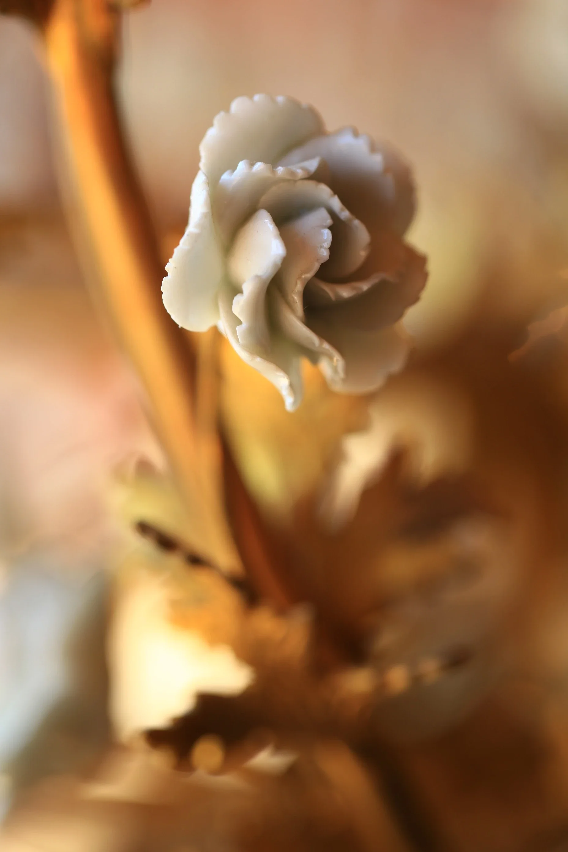 19th c flowers 3.webp