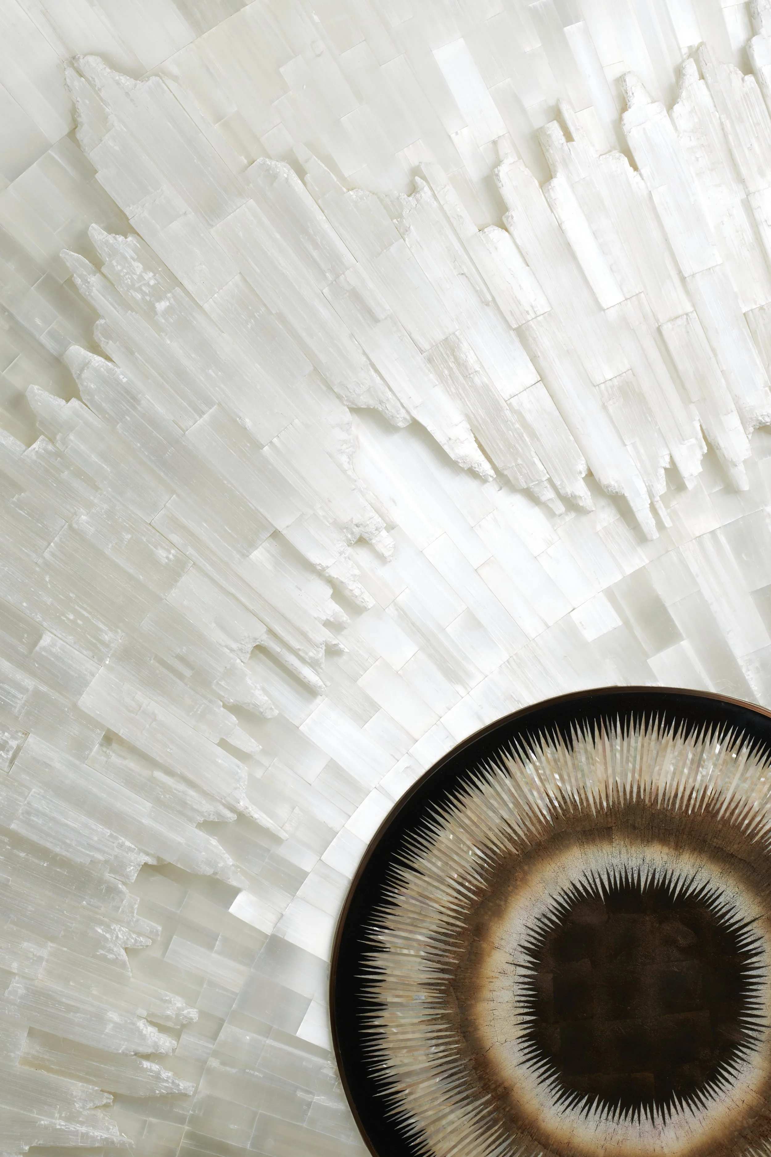 Stephanie Coutas 12 septembre 20234074 copy.jpg