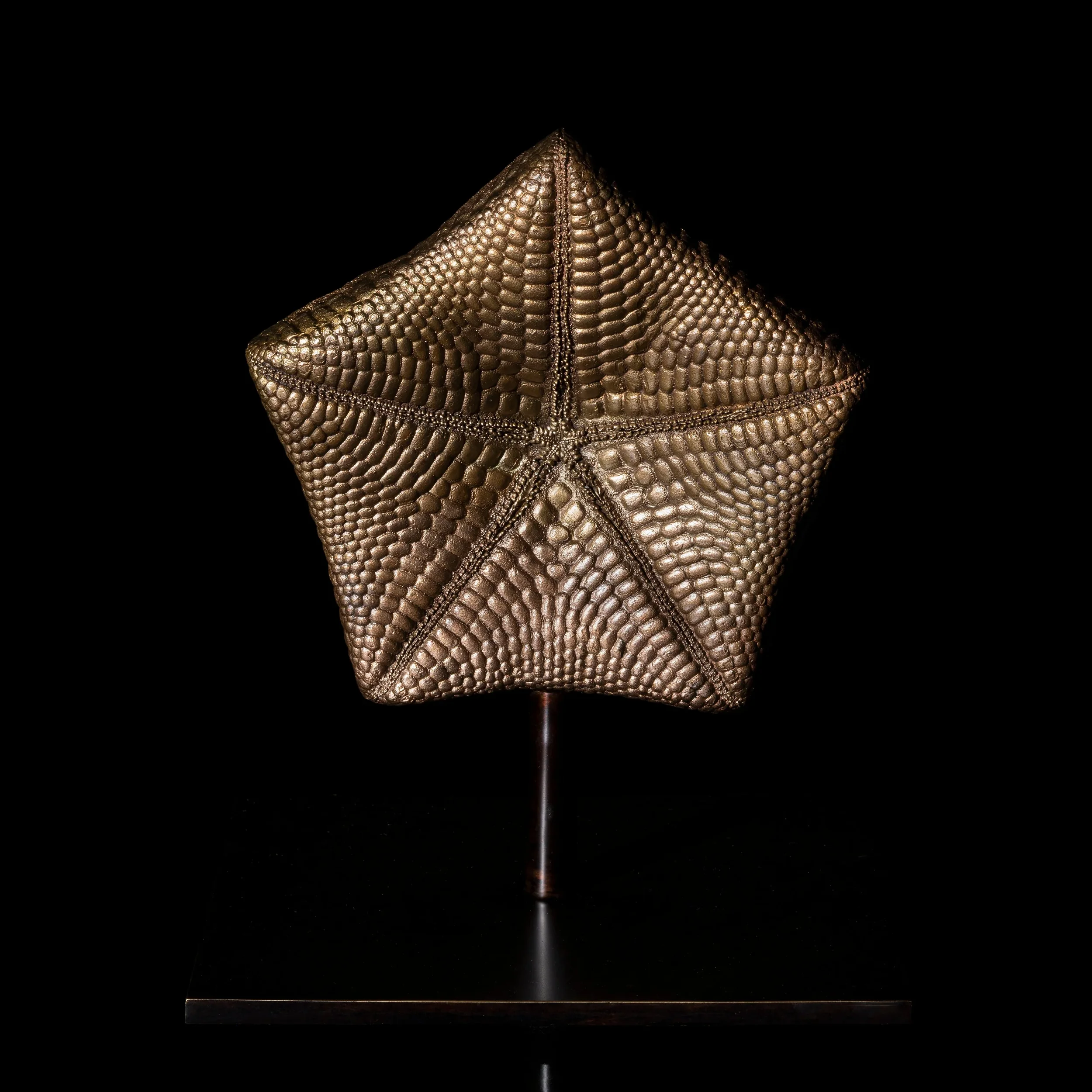 PINTO | LES INTERDITS | STARFISH