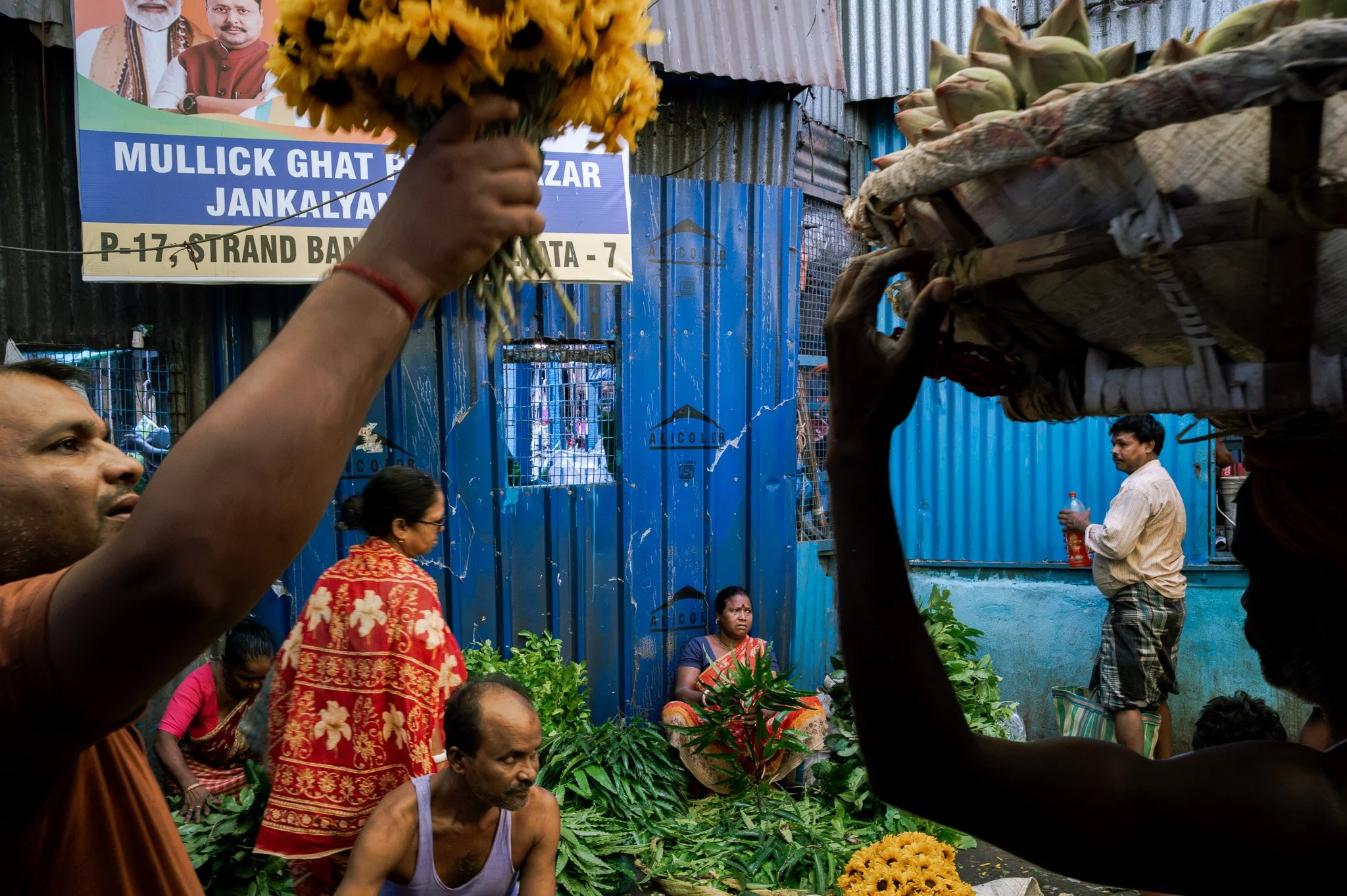 Kolkata Flower Market. Man reaching into basket with sun flowers. 