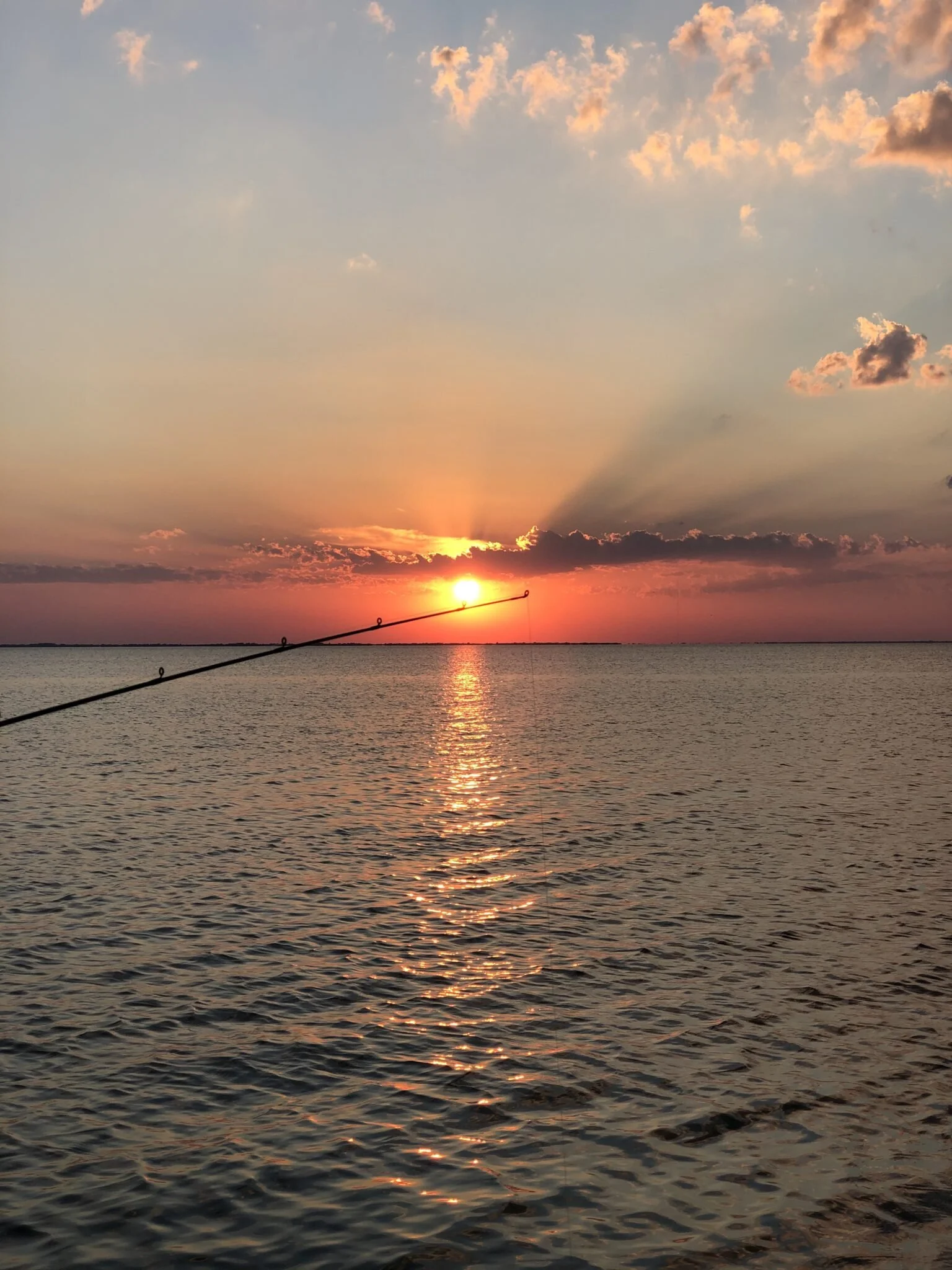 Cast To The Sun