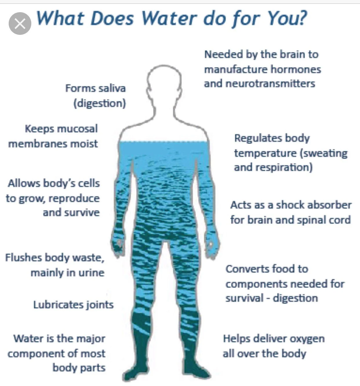 Water, How Much Is Enough?