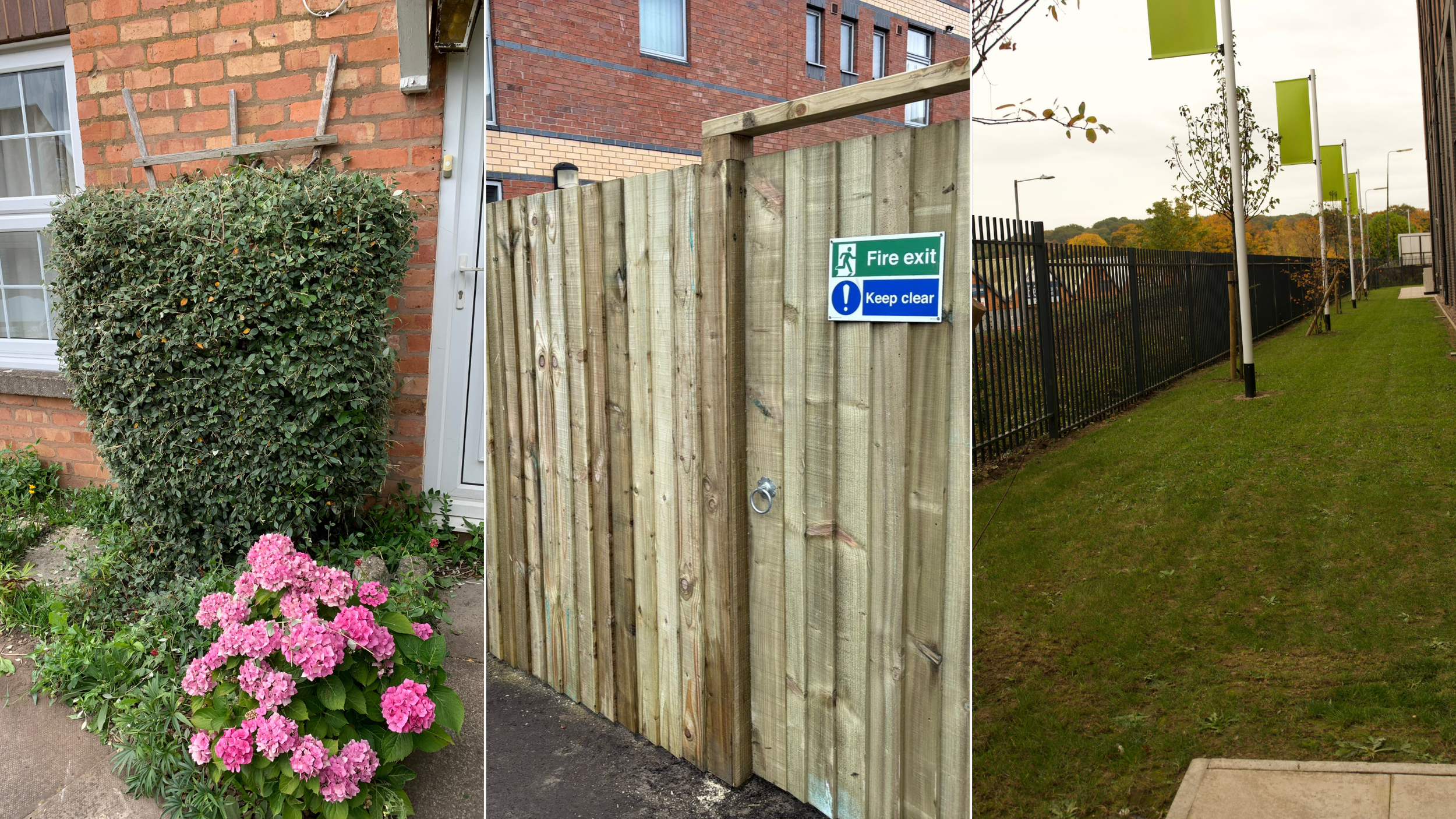 Domestic | Commercial | Grounds Maintenance