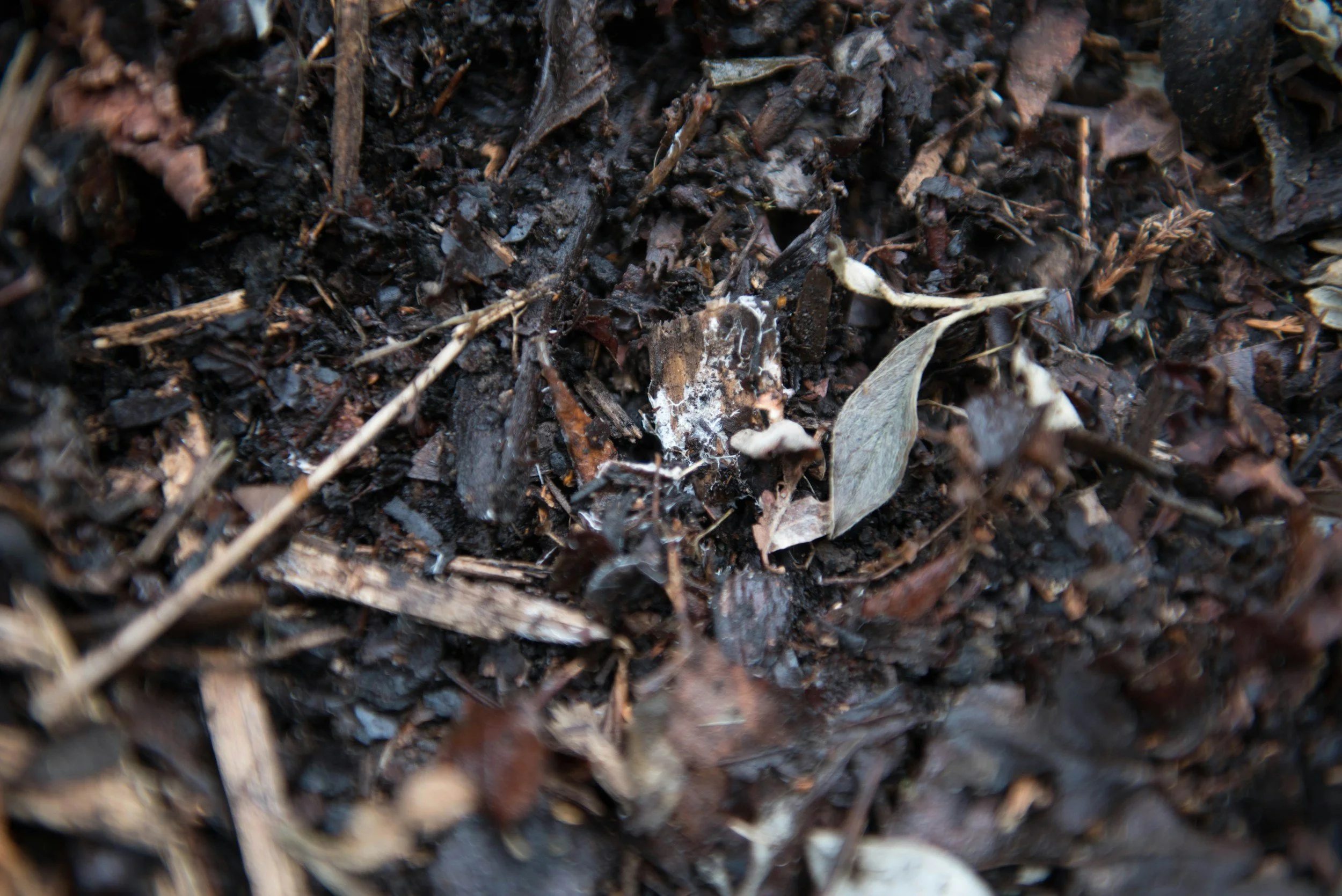 Composting Soil During The Winter Months