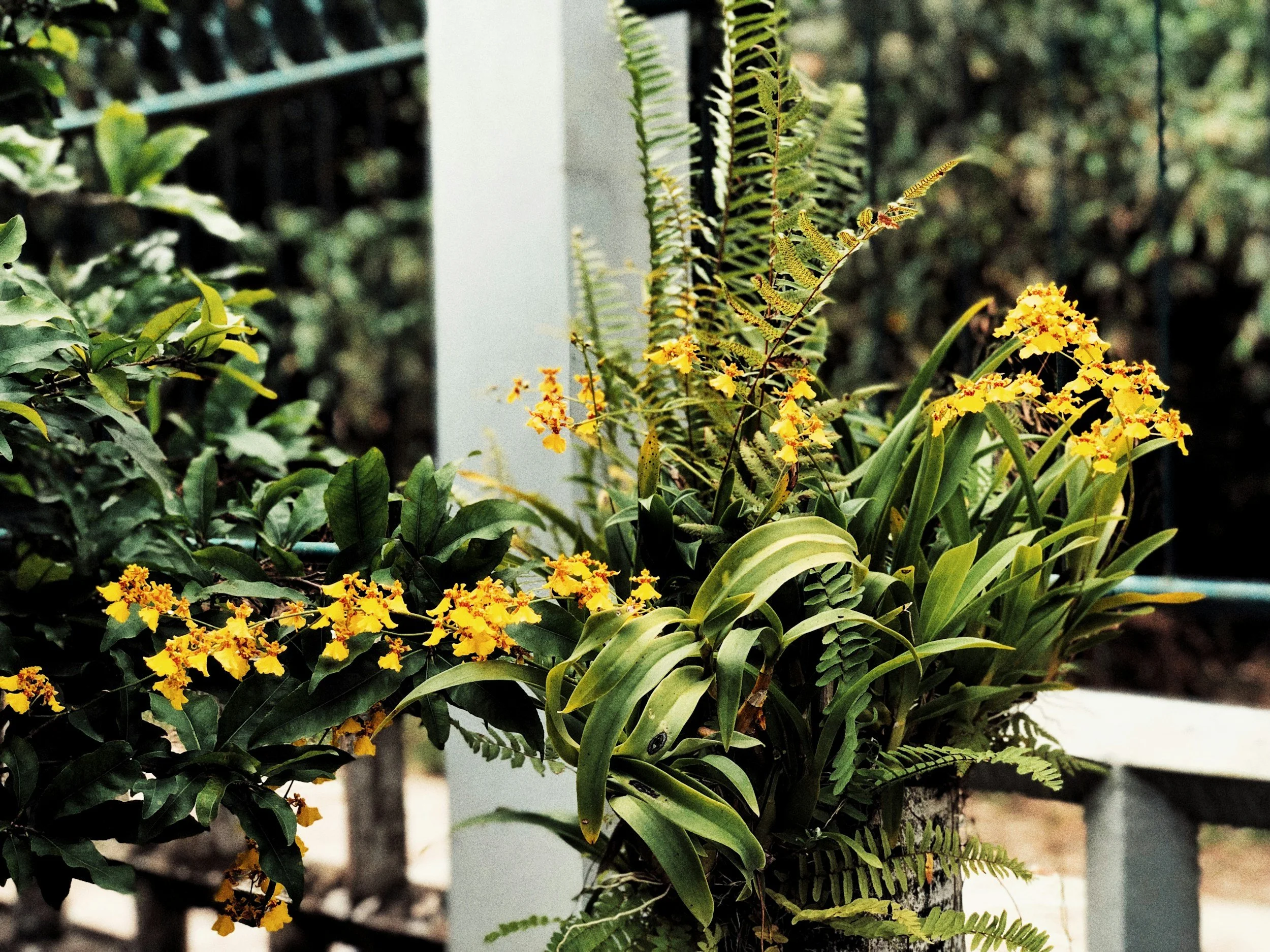 2026 Jscapes Gardening & Landscaping Trends blog