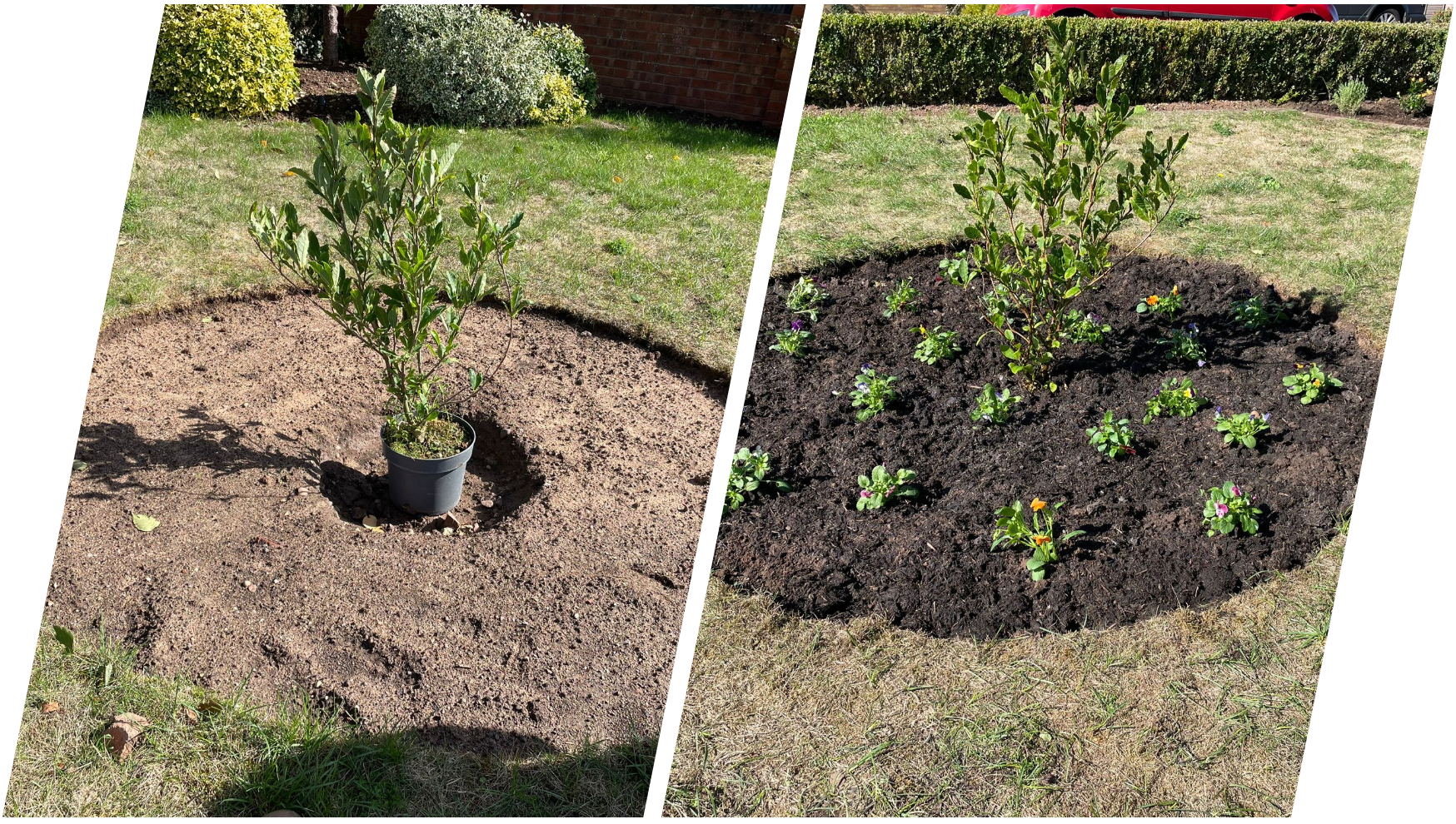 Planting at Jscapes Gardening and Landscaping Fernhill Heath Worcester