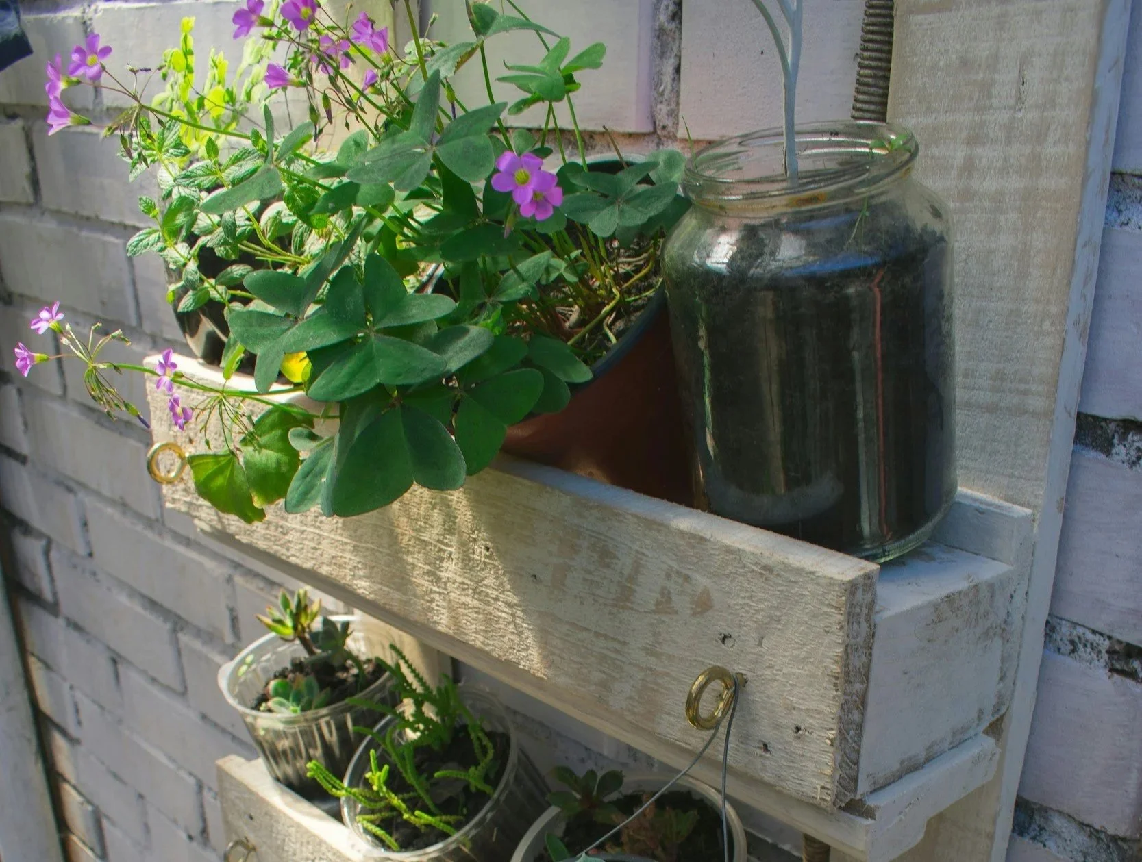 2026 Jscapes Gardening & Landscaping Trends blog