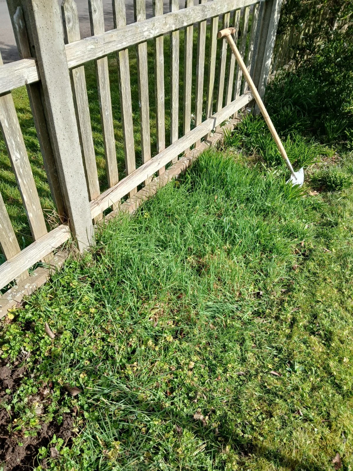 PHOTO-2025-03-15-13-22-07 2.jpg