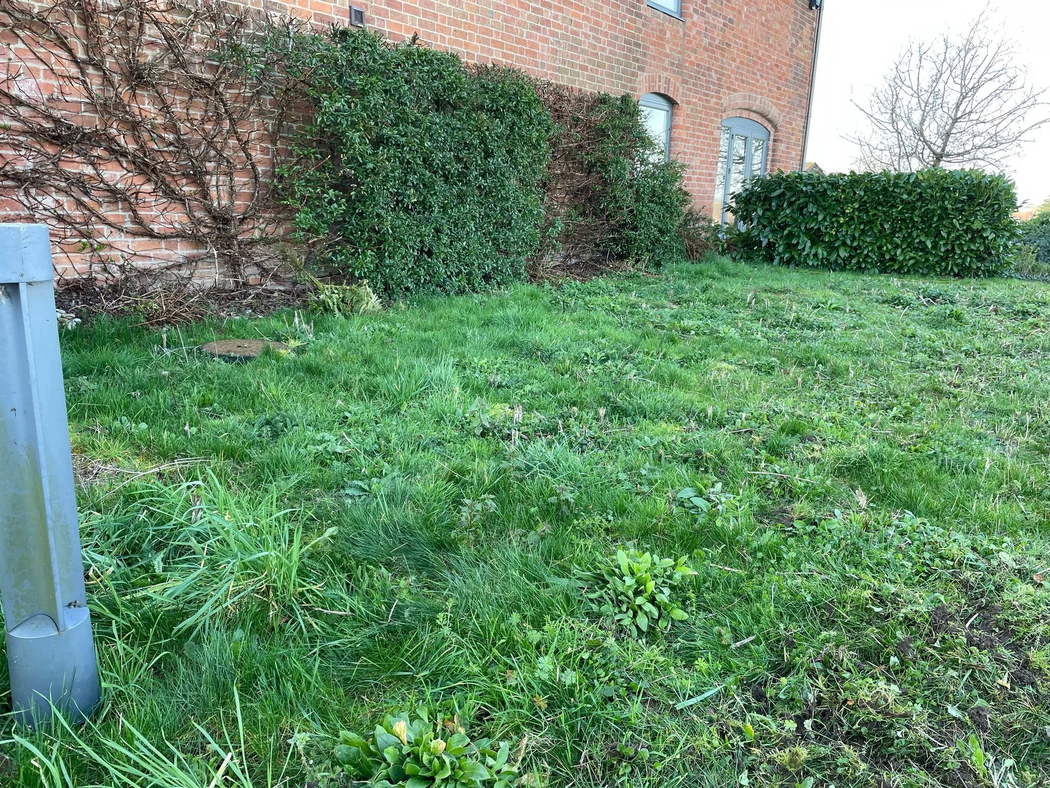 b4cdcb4d-eeb4-4ffe-a9d0-ea8d08fdd38b 2.jpg