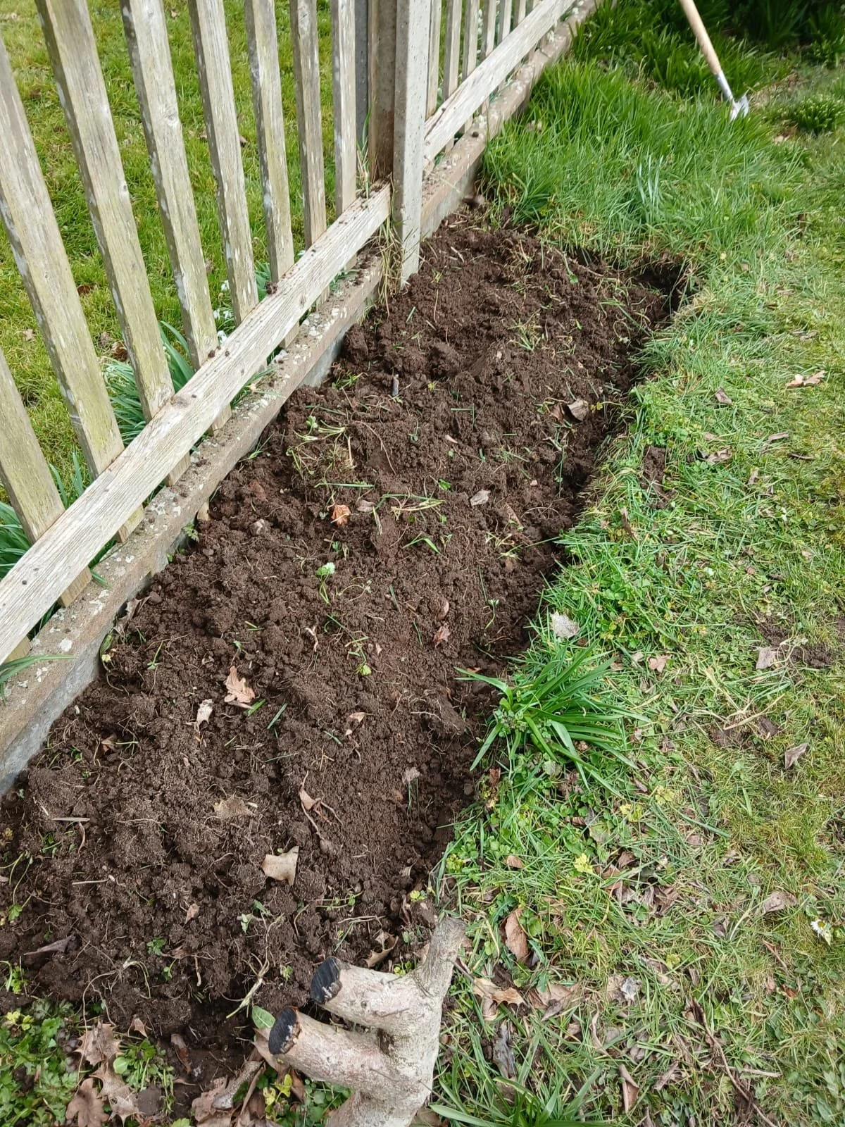 PHOTO-2025-03-15-13-22-08 2.jpg