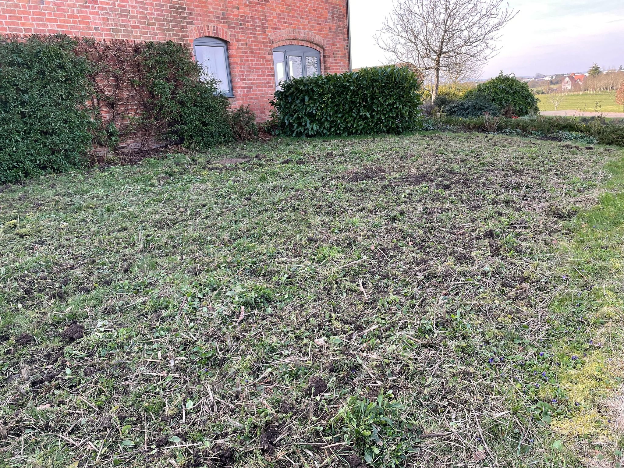 Rotivation at Jscapes