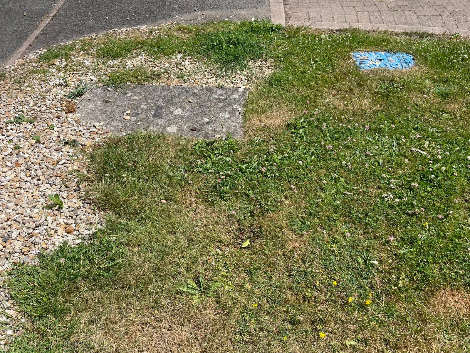 PHOTO-2026-01-19-22-26-43 4.jpg