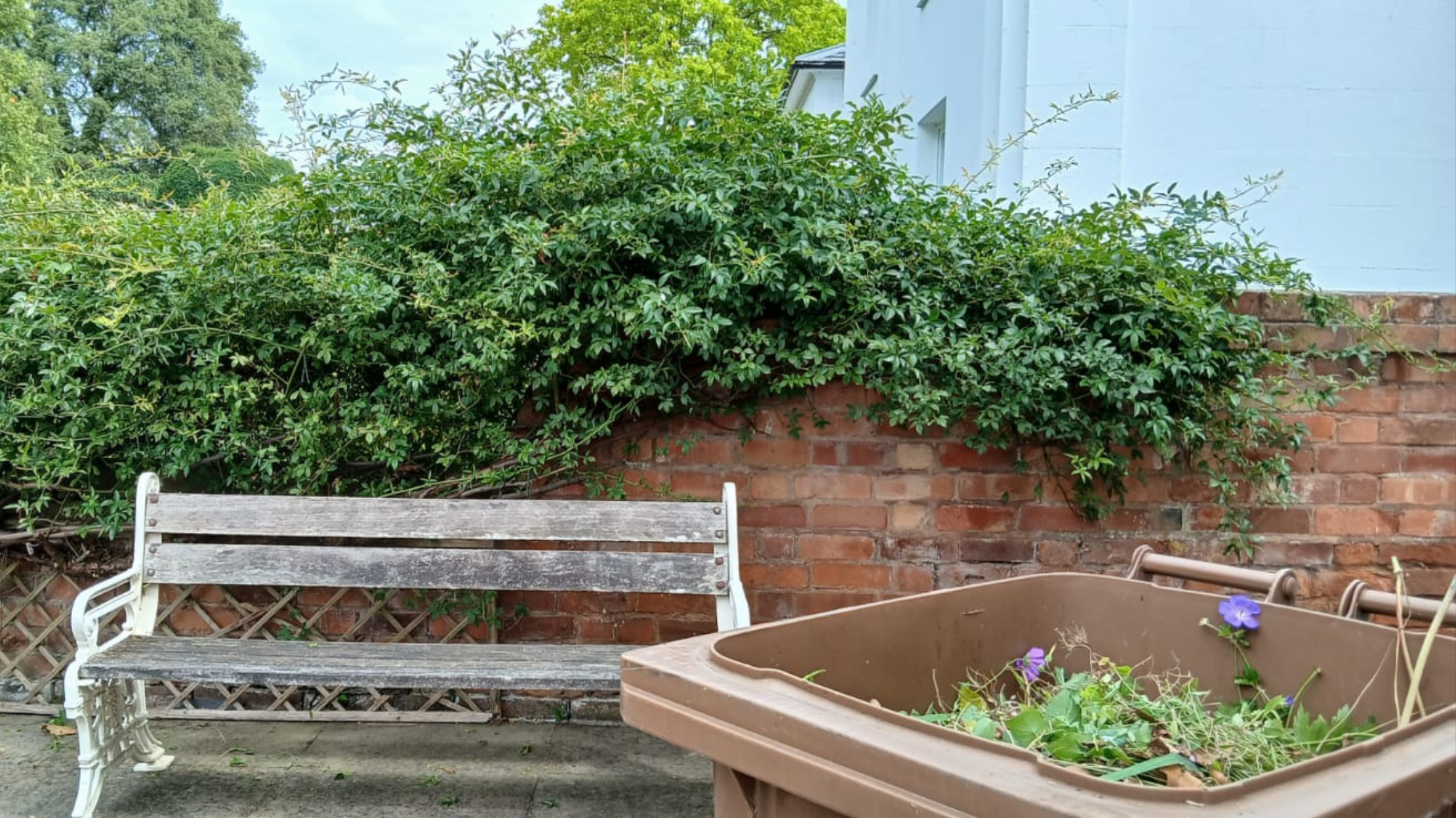 Waste Removal Services