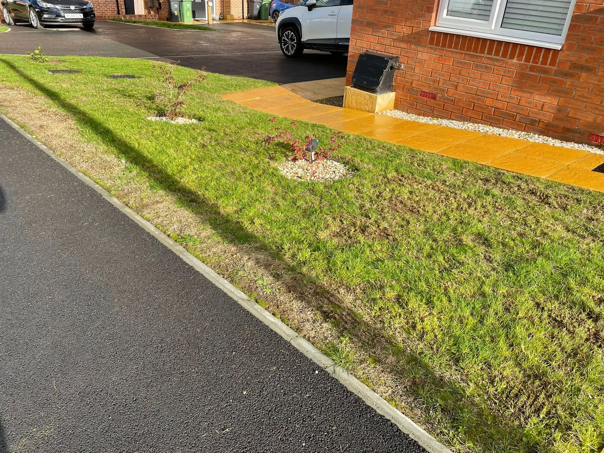 Lawn Scarification at Jscapes