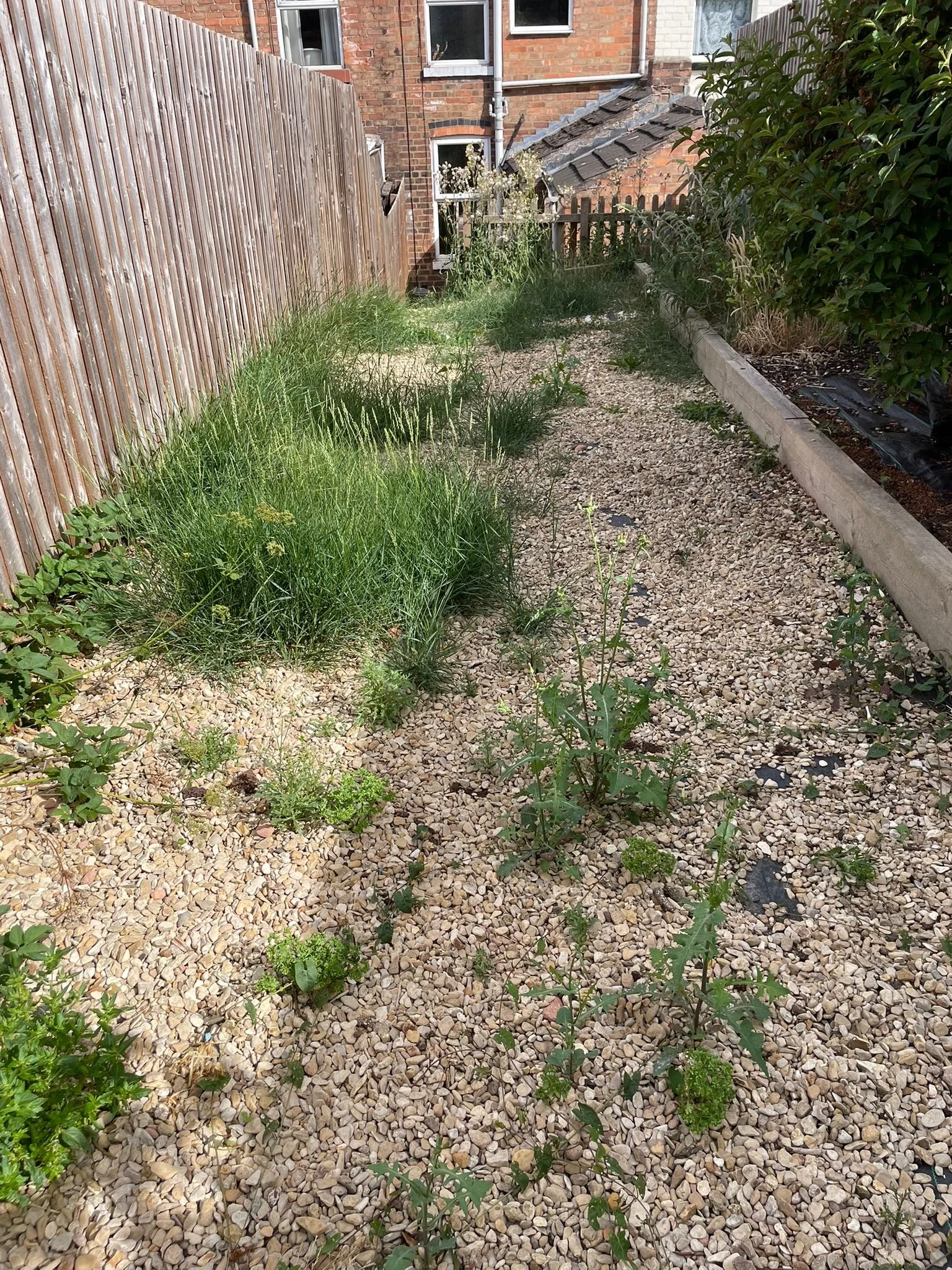 Weed control services