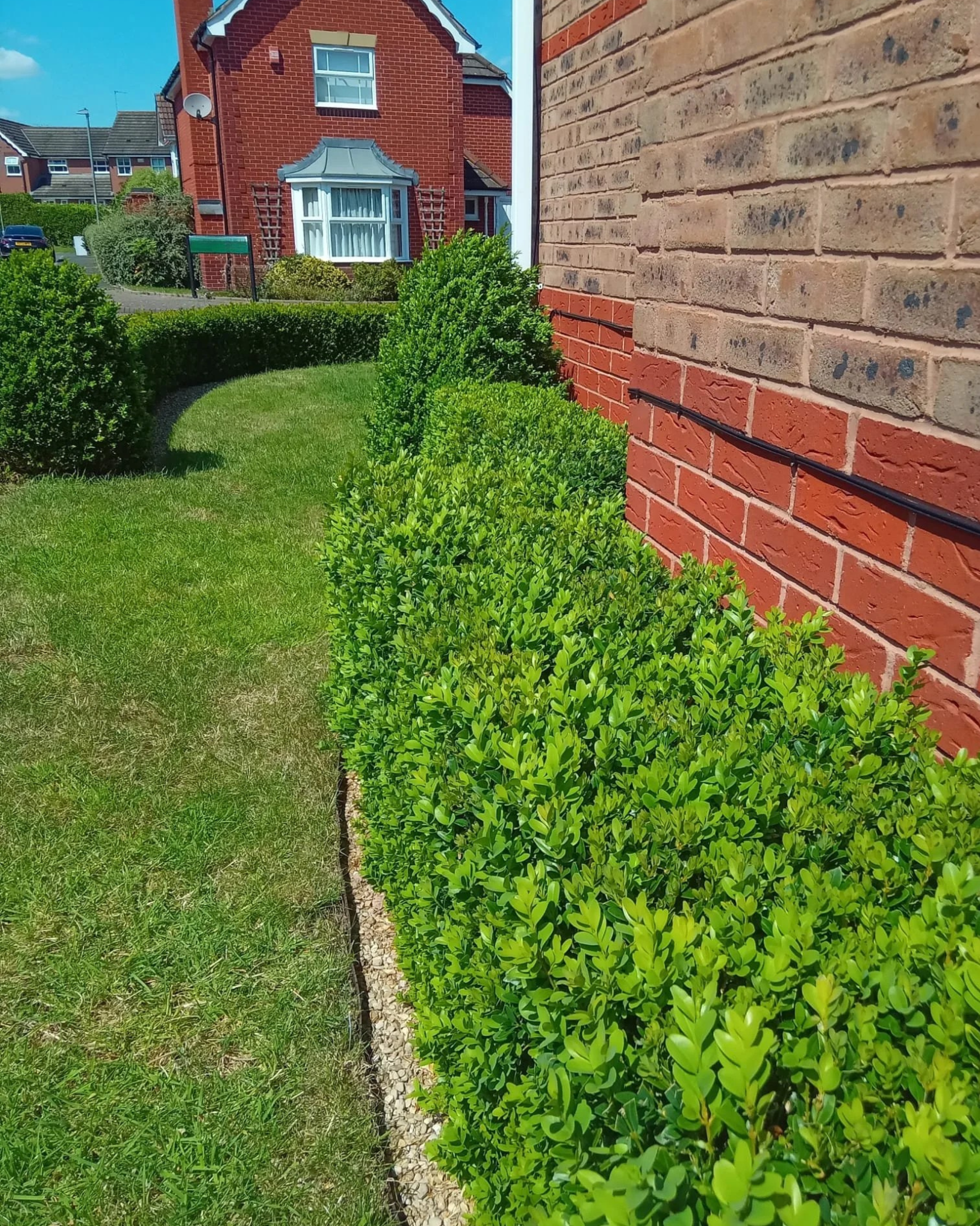 Untitled design-31.png