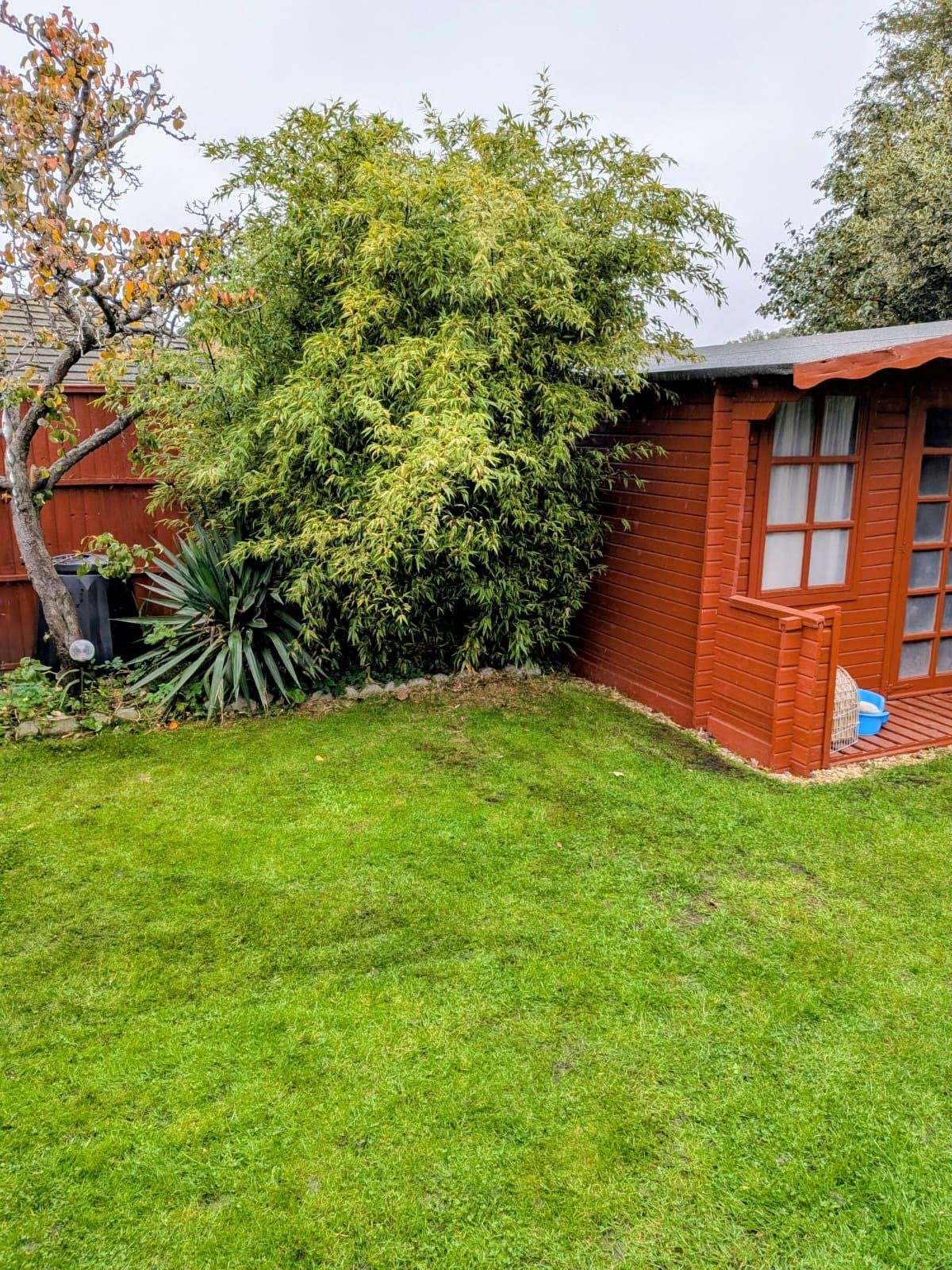 cd91f1a7-7287-449f-9877-c8b815bbeb60 (1).jpg