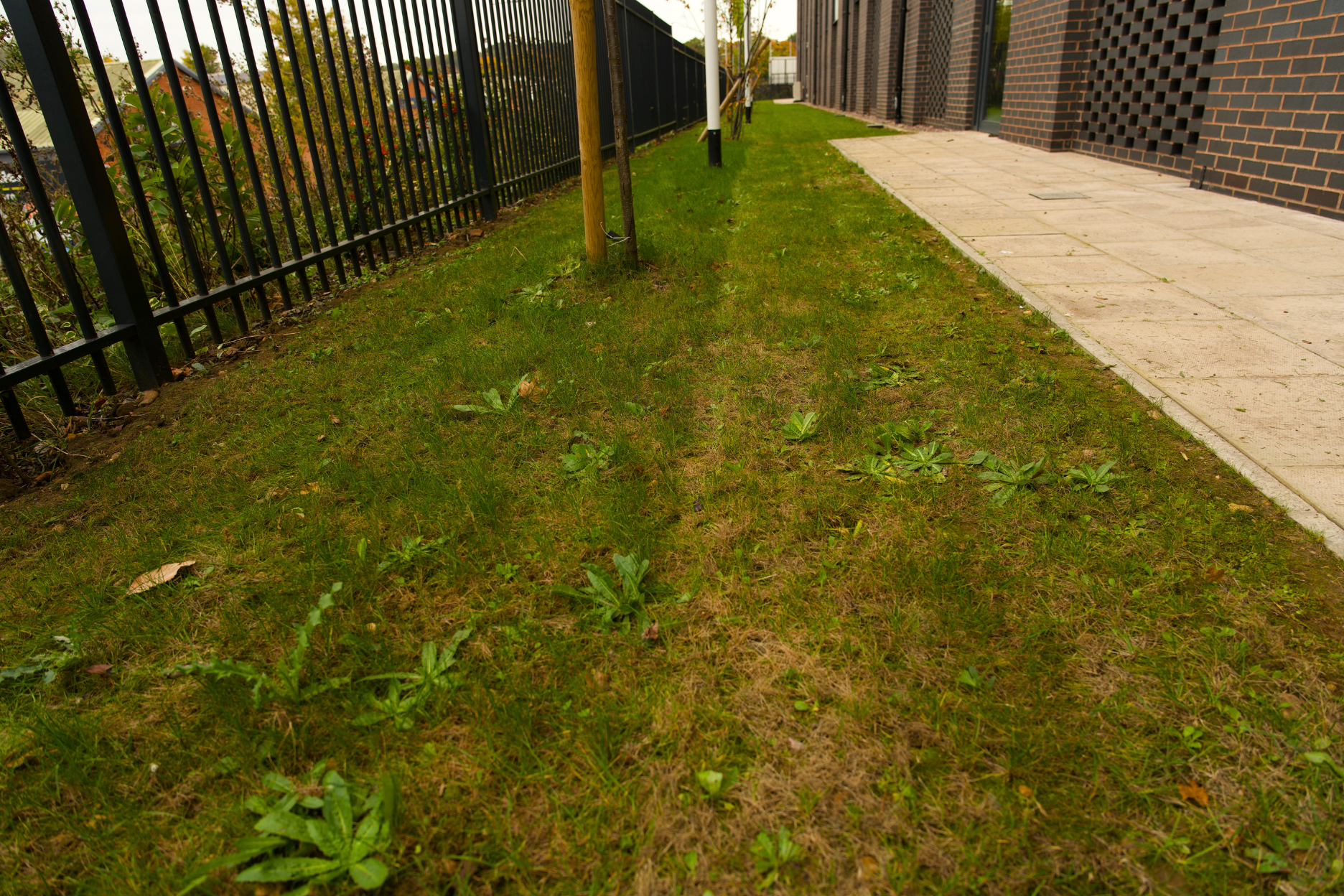  Lawn Maintenance    This can include regular cutting, scarification and some treatment services. 