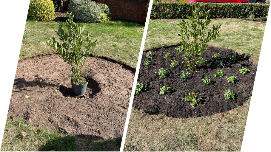 Planting at Jscapes Gardening and Landscaping