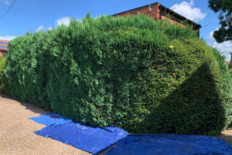 Screenshot 2026-01-31 at 14.18.30.png