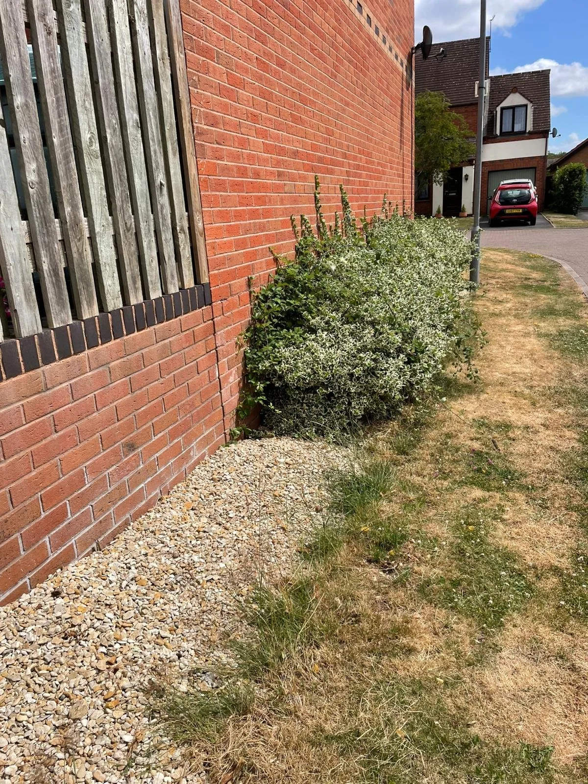 PHOTO-2026-01-19-22-26-43 3.jpg