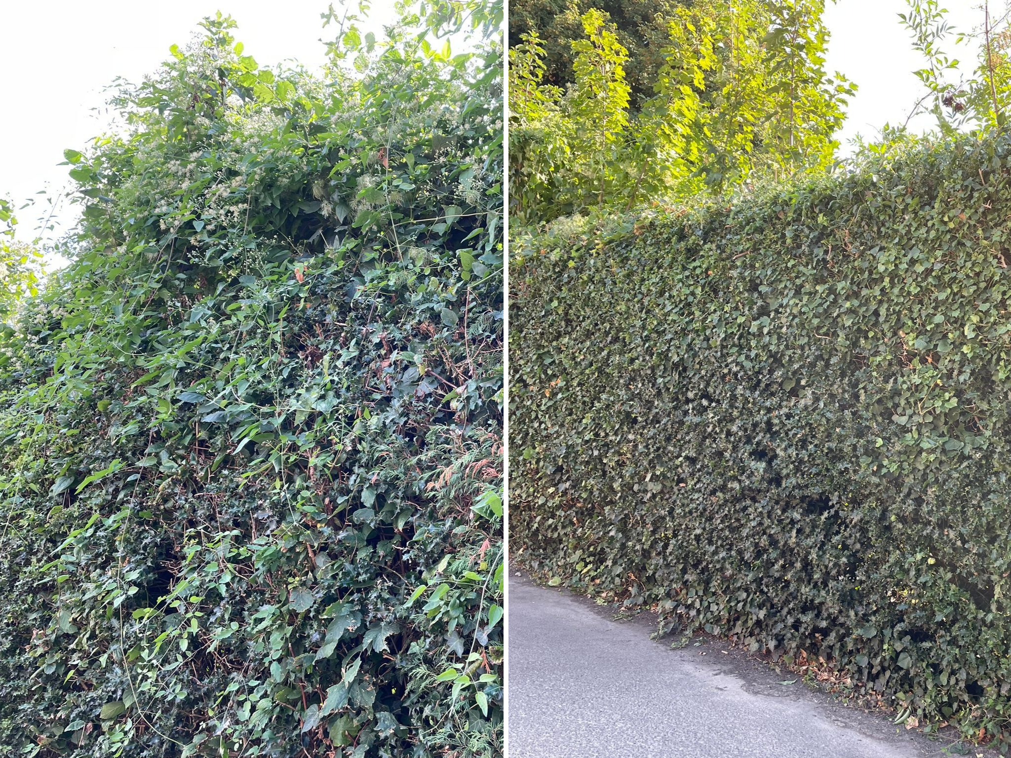 commercial gallery -6.png