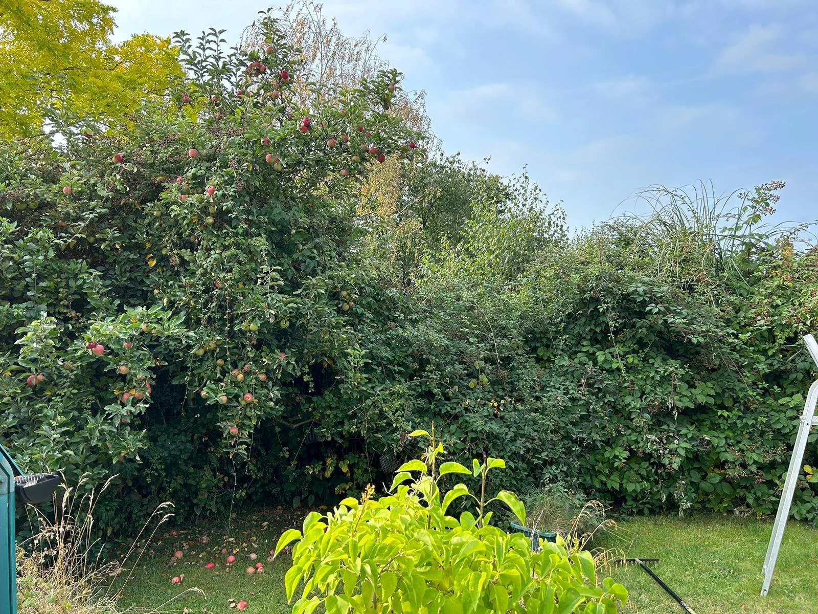 PHOTO-2024-08-26-19-49-10 2.jpg