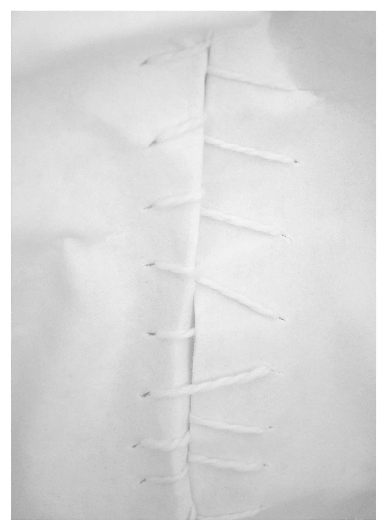 Detail Stitch - Vertical with frame.jpg