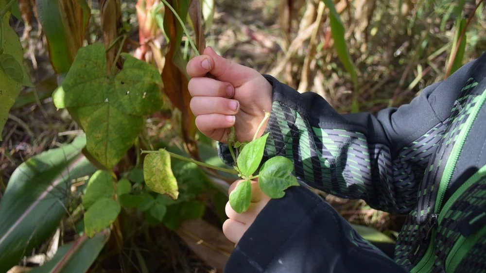 Building community connections with the Land