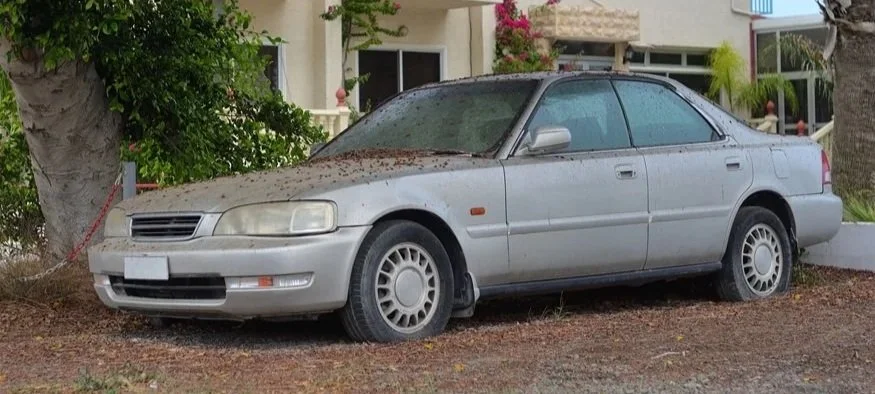 Picture of an old grey car parked under a tree