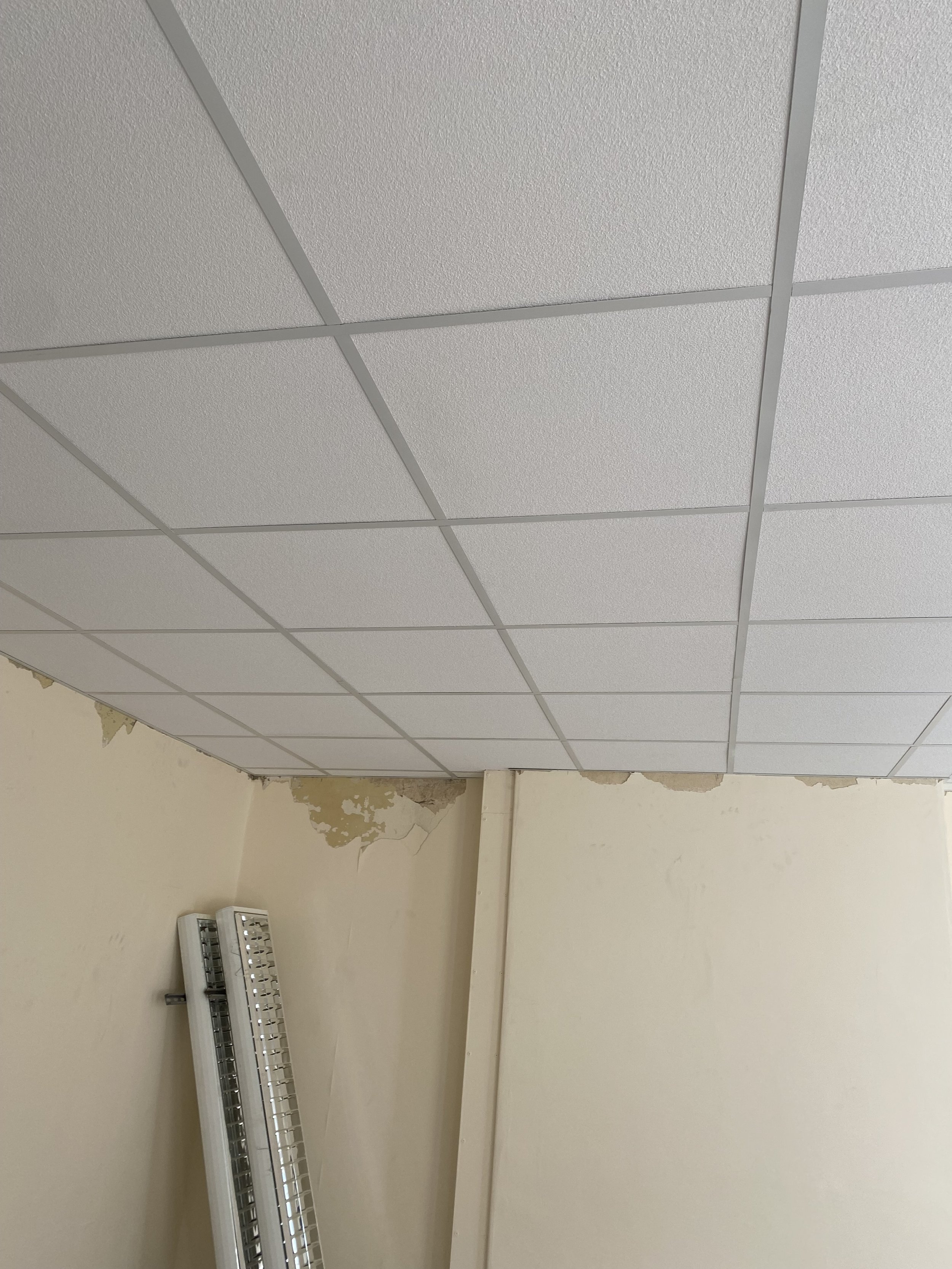 Lay-in Grid Ceiling to commercial property