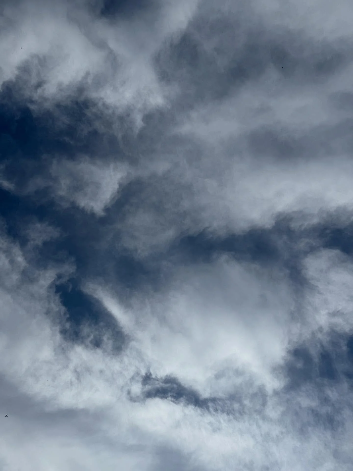 As above, so below.

Today didn&rsquo;t need more effort.
It needed space.

After a long day, taxes and all, I laid in the grass, breathed in fresh air &amp; soaked up the sun ☀️ 

That was exactly what I needed.