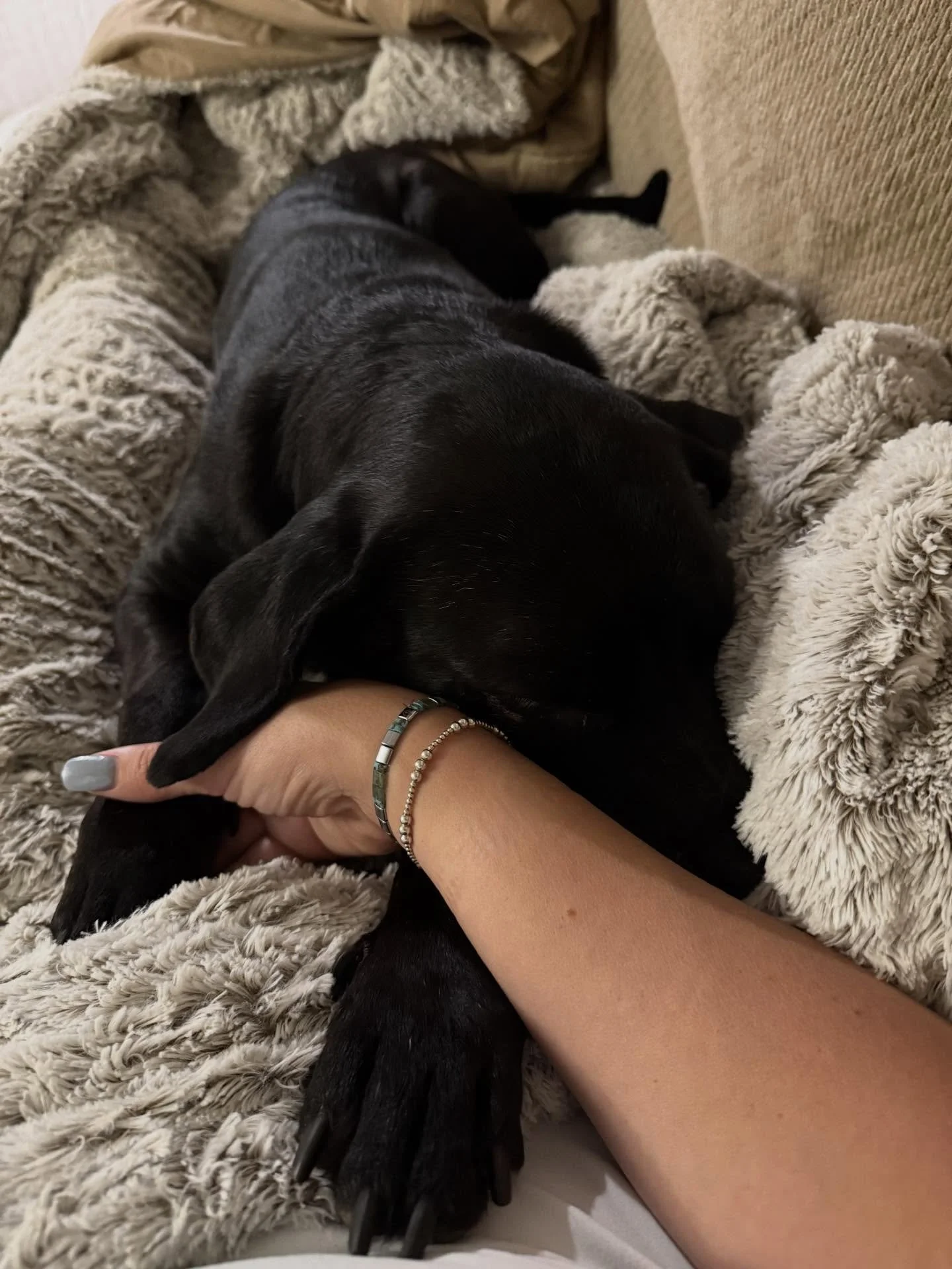 Some mornings you just need a little extra love. Grateful for quiet moments like this and extra snuggles from Willow.

A gentle reminder: you never really know what someone else is walking through.
Lead with kindness. Always.

If you&rsquo;re someone